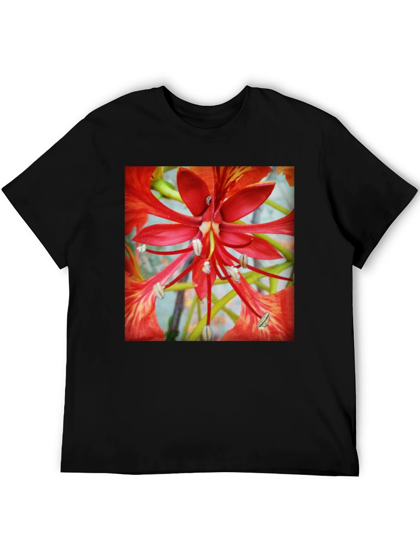 Black Bold Floral T-Shirt - Vivid Red Blossom Design view 5