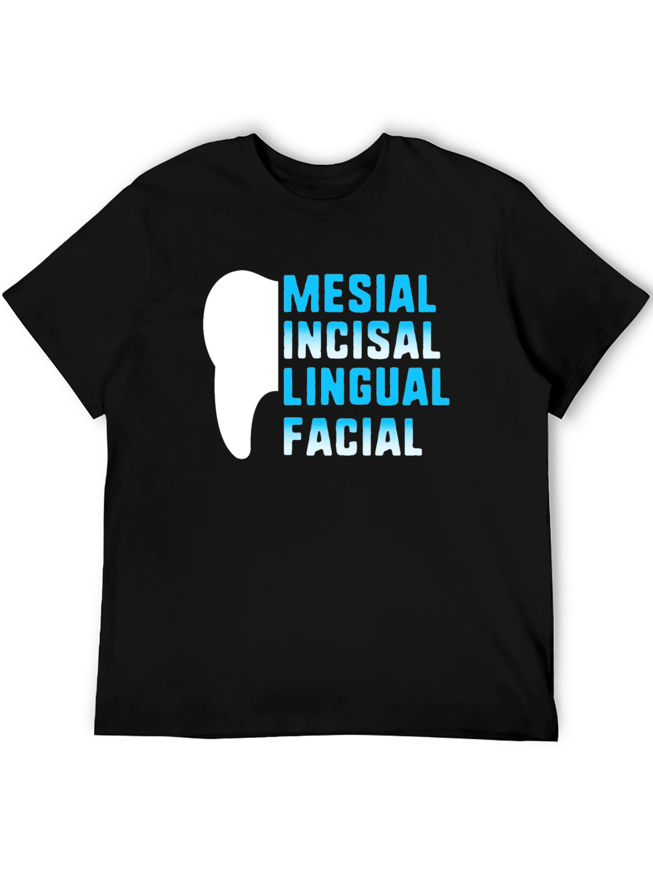 Black Dental Anatomy T-Shirt - Mesial Incisal Lingual Facial - Dentist Gift view 5