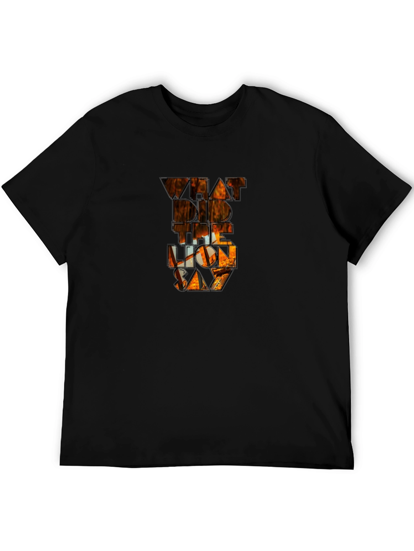 Black What Did The Lion Say Black T-Shirt view 5