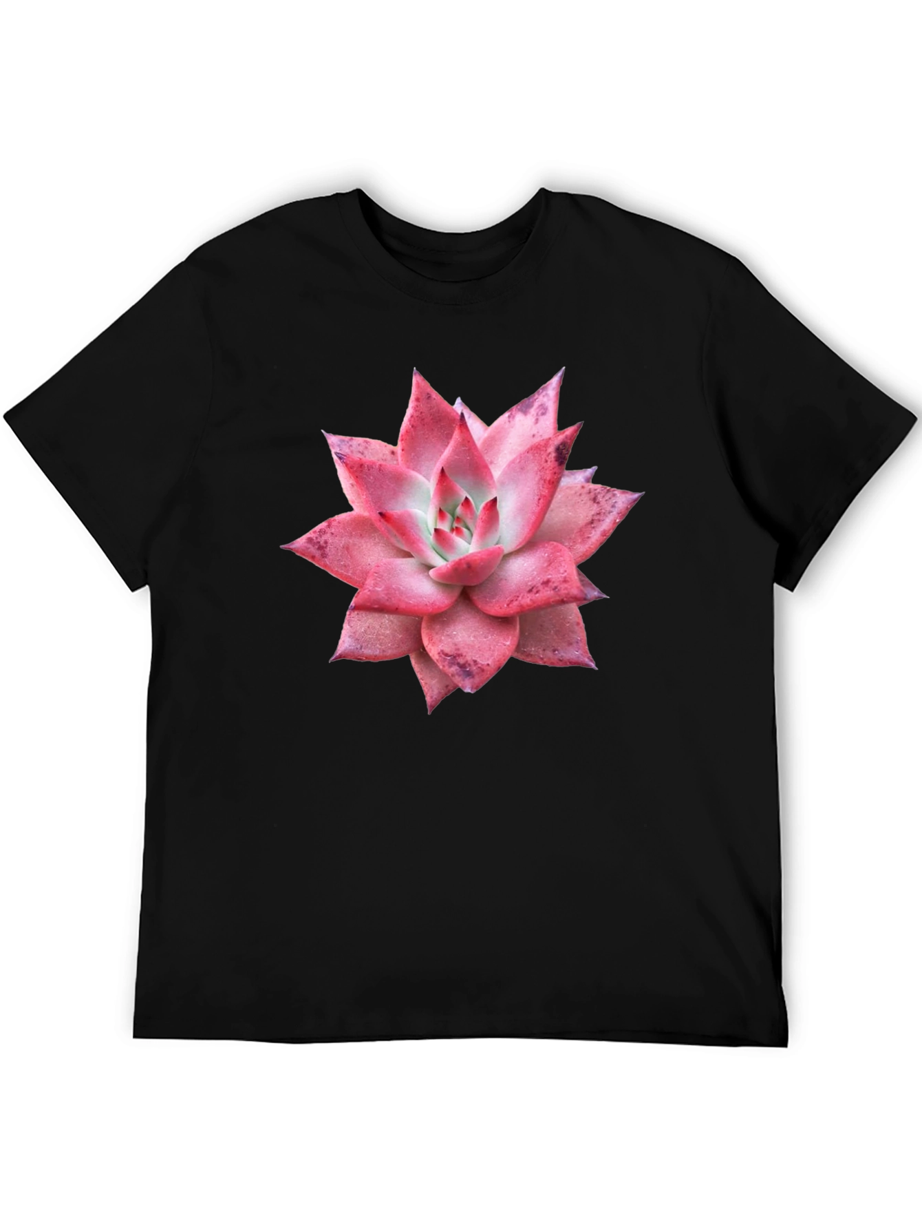 Black Succulent Graphic Tee - Black Cotton T-Shirt view 5
