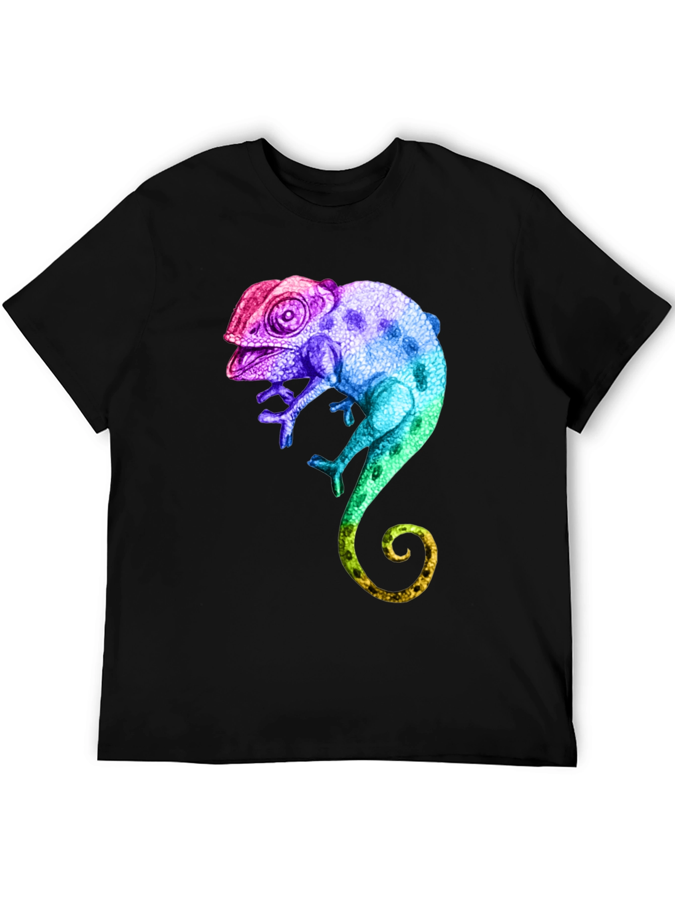 Black Rainbow Chameleon Graphic T-Shirt view 5