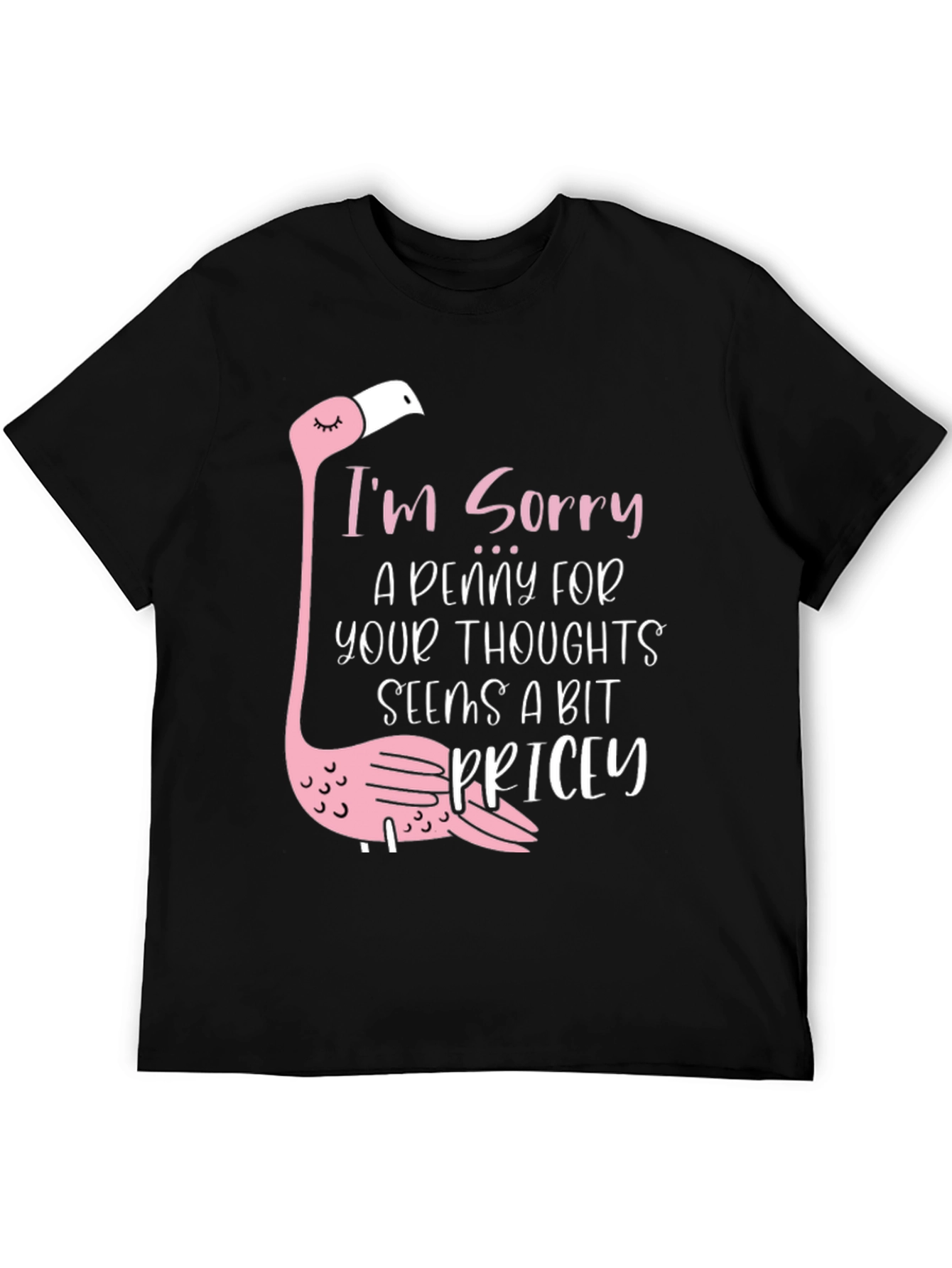 Black Funny Flamingo 'A Penny For Your Thoughts' Black T-Shirt view 5
