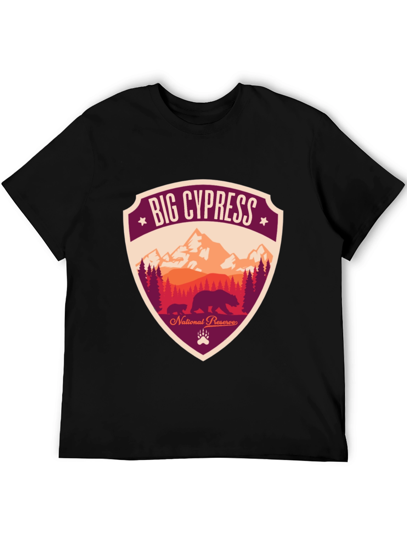 Black Big Cypress National Preserve Graphic T-Shirt view 5