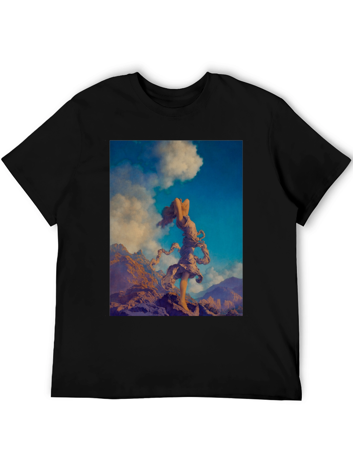 Black Mountain Muse Graphic Tee view 5