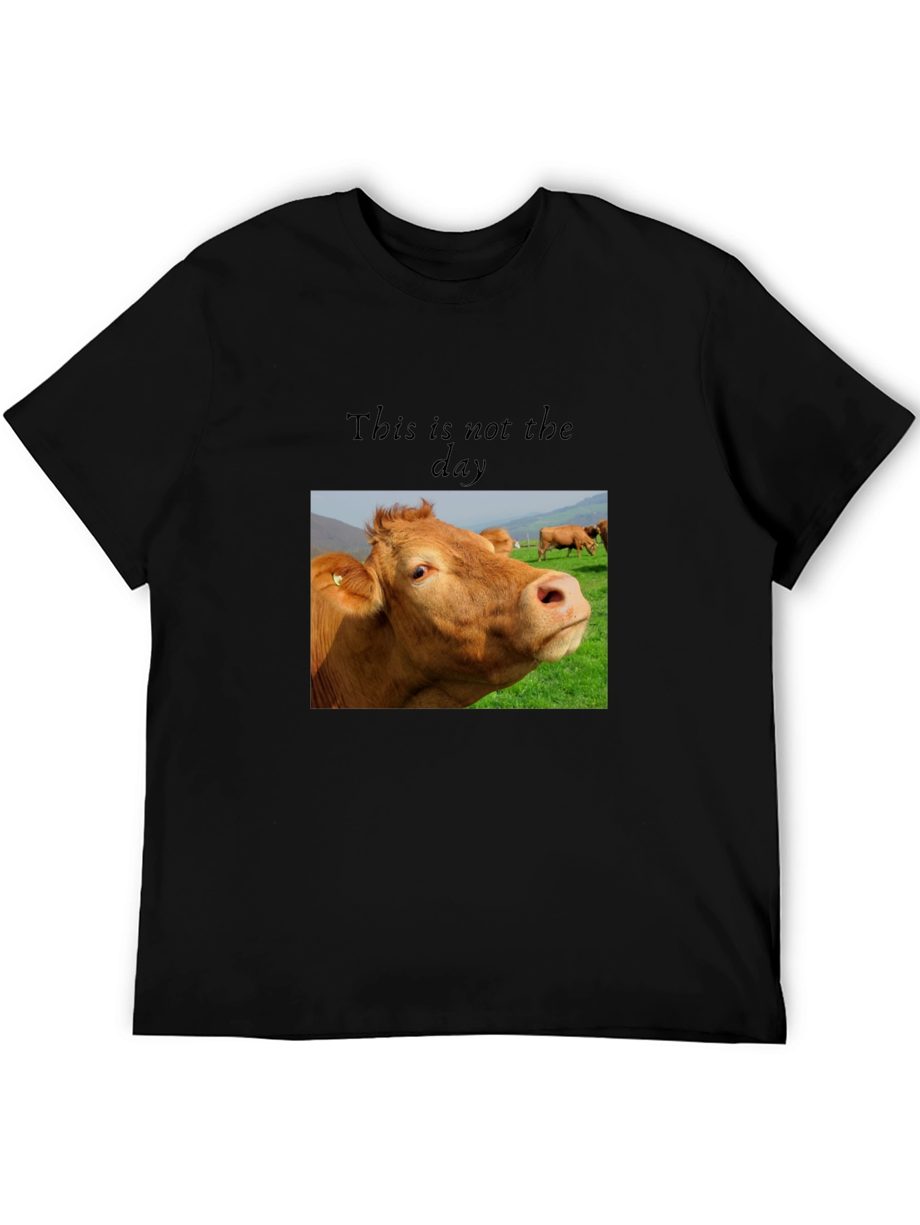 Black Cow Graphic T-Shirt - "This is not the day" view 5
