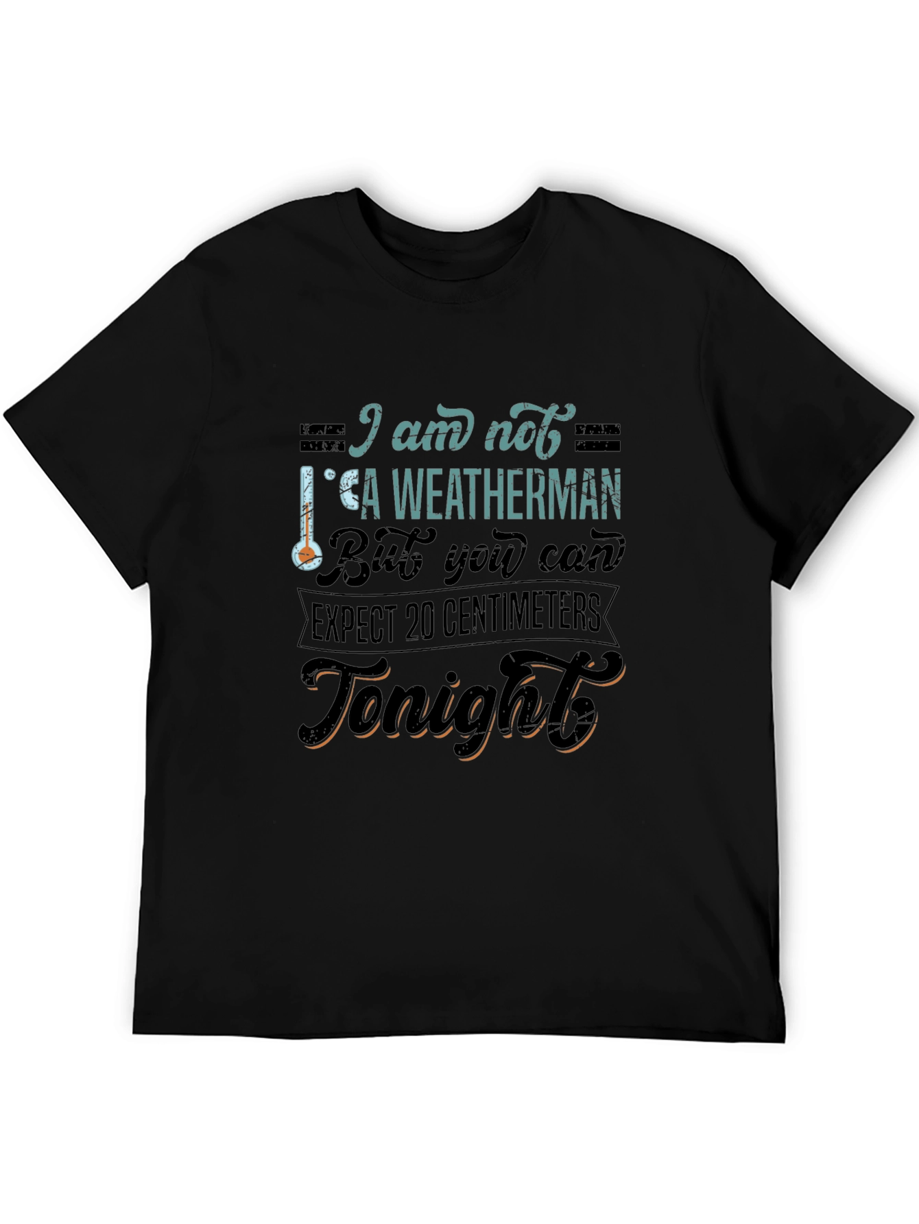 Black Funny Weatherman Graphic Tee - Expect 20 Centimeters view 5