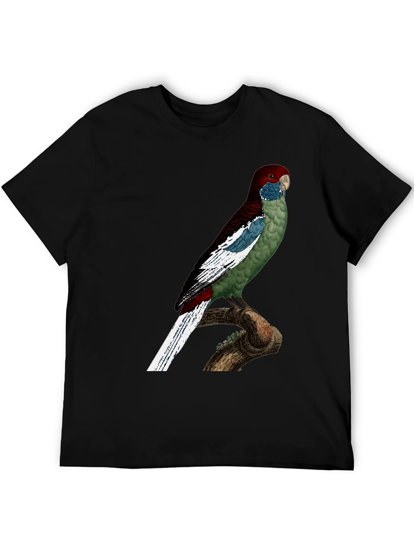 Black Parrot Graphic T-Shirt - Unique Bird Design view 5