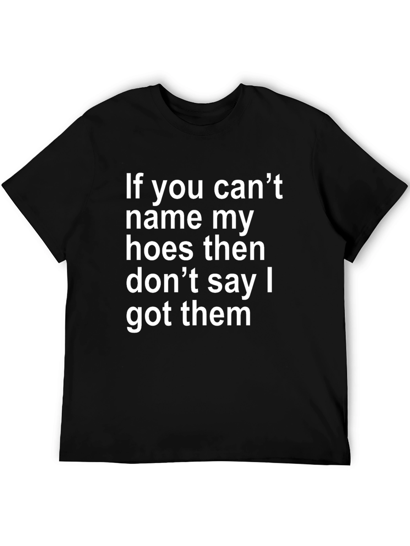 Black Funny Offensive T-Shirt: If You Can't Name My Hoes view 5