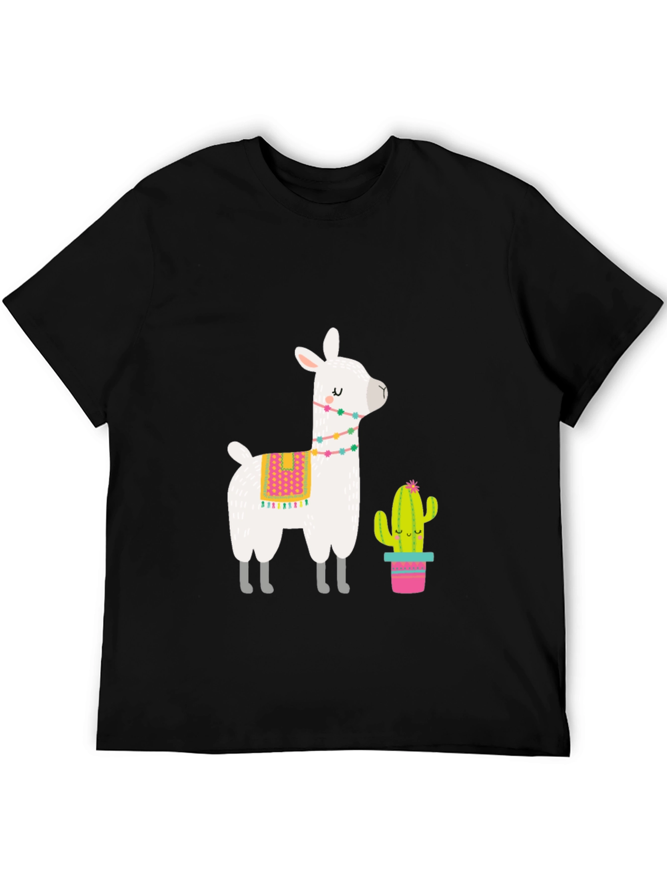 Black Llama & Cactus Graphic Tee - Black view 5