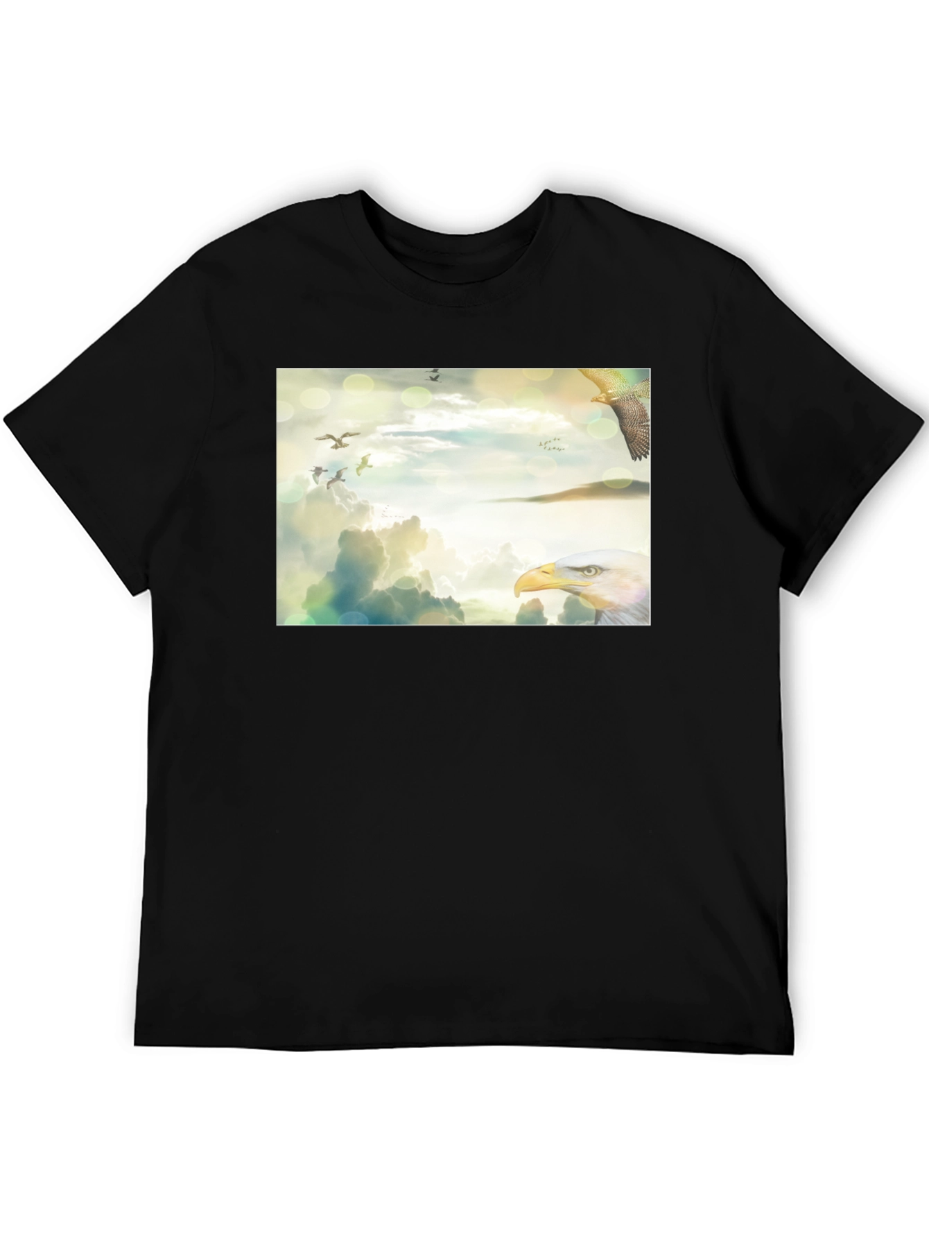 Black Eagle Sky Print Black T-Shirt view 5