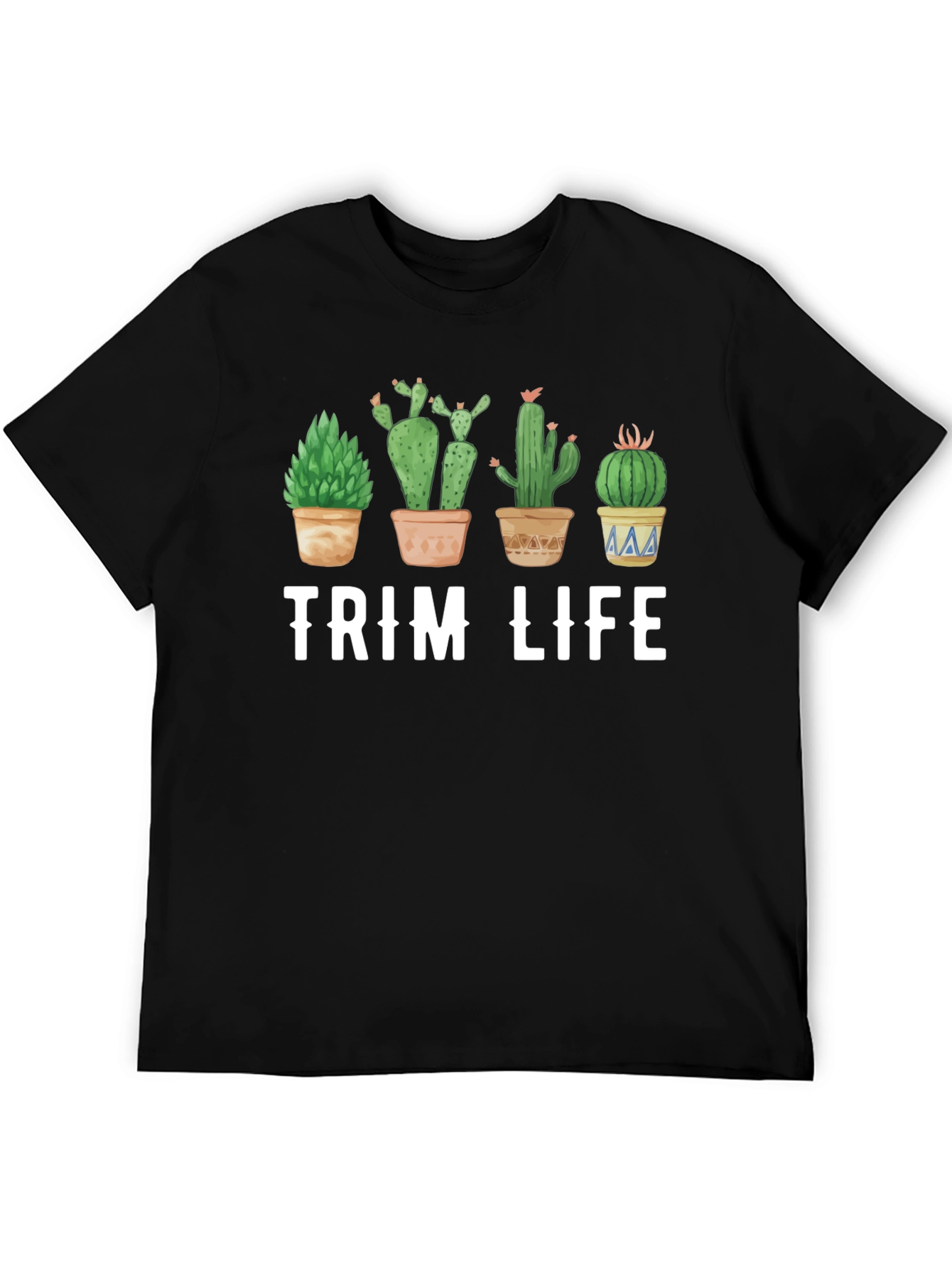 Black Trim Life Cactus Graphic T-Shirt view 5