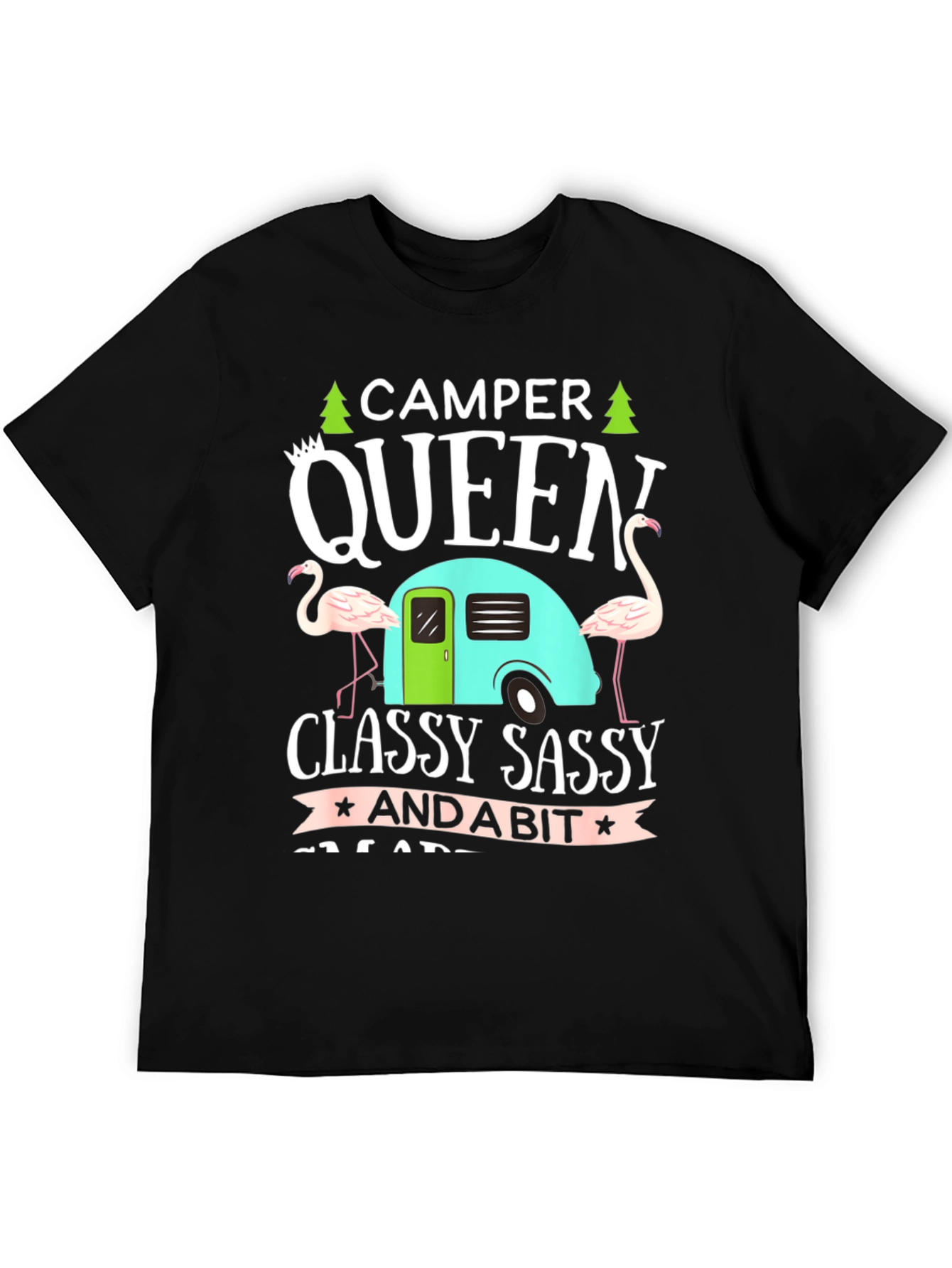 Camper Queen T-Shirt - Classy Sassy Graphic Tee - 5