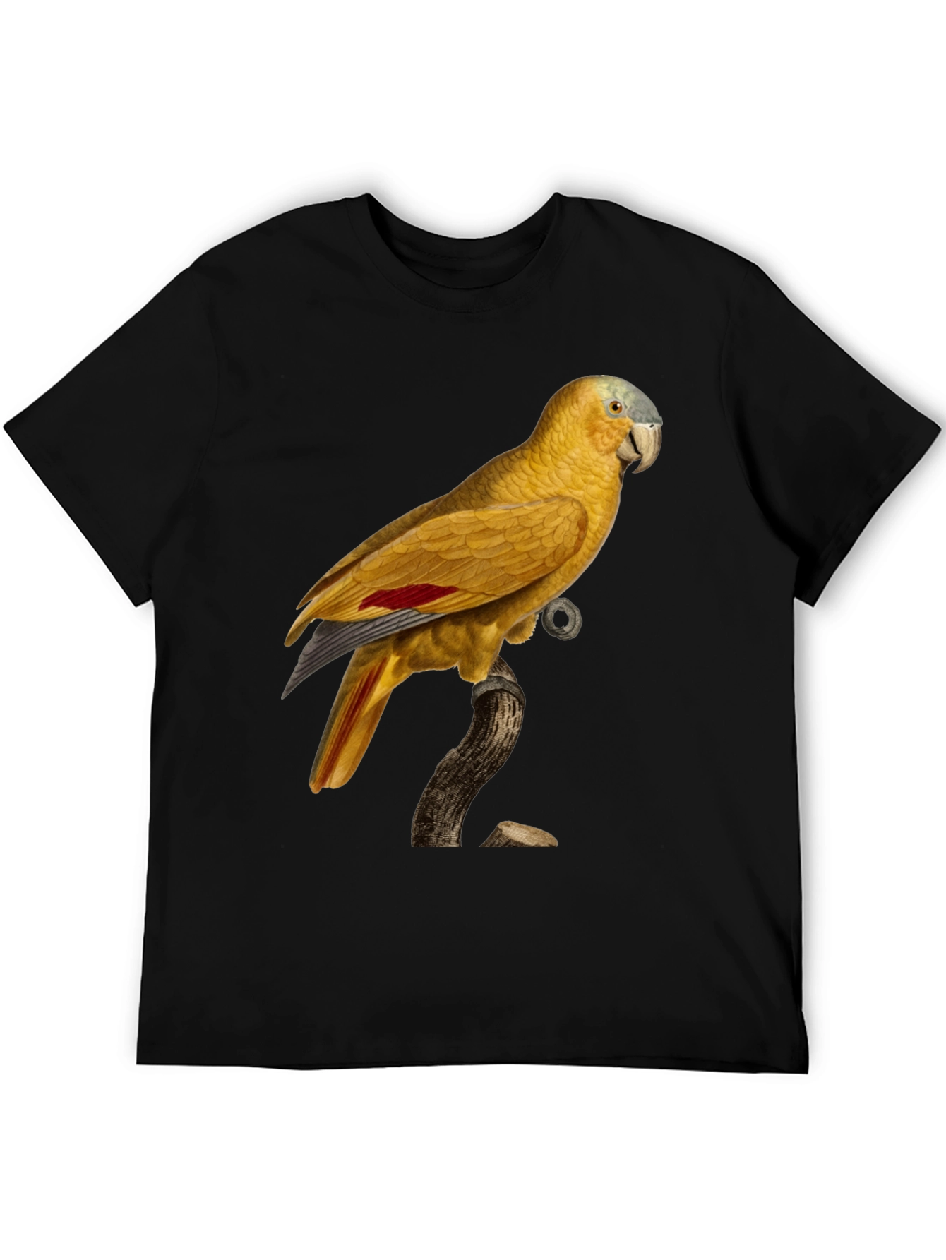 Black Parrot Graphic Black T-Shirt view 5