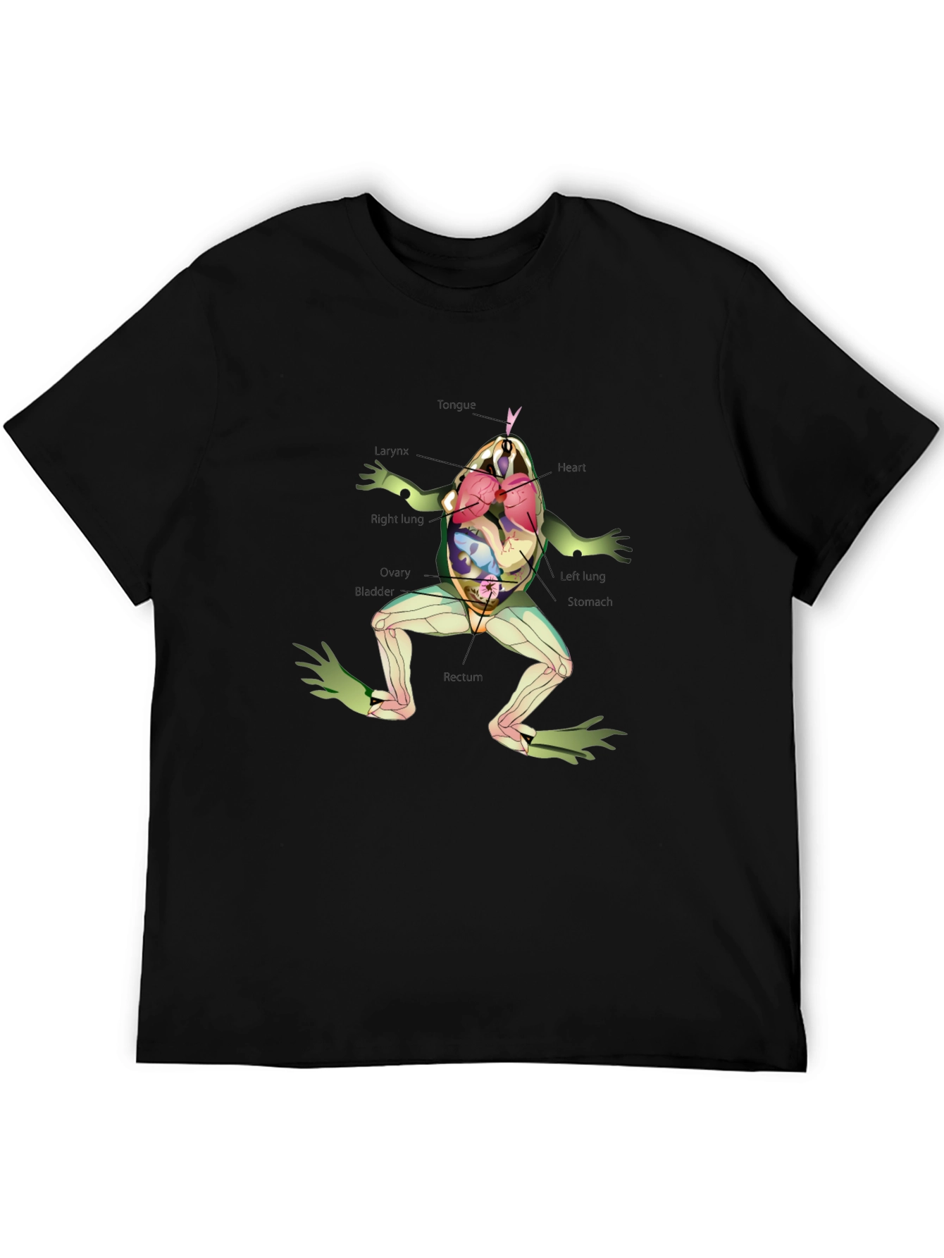 Black Anatomy Frog T-Shirt view 5