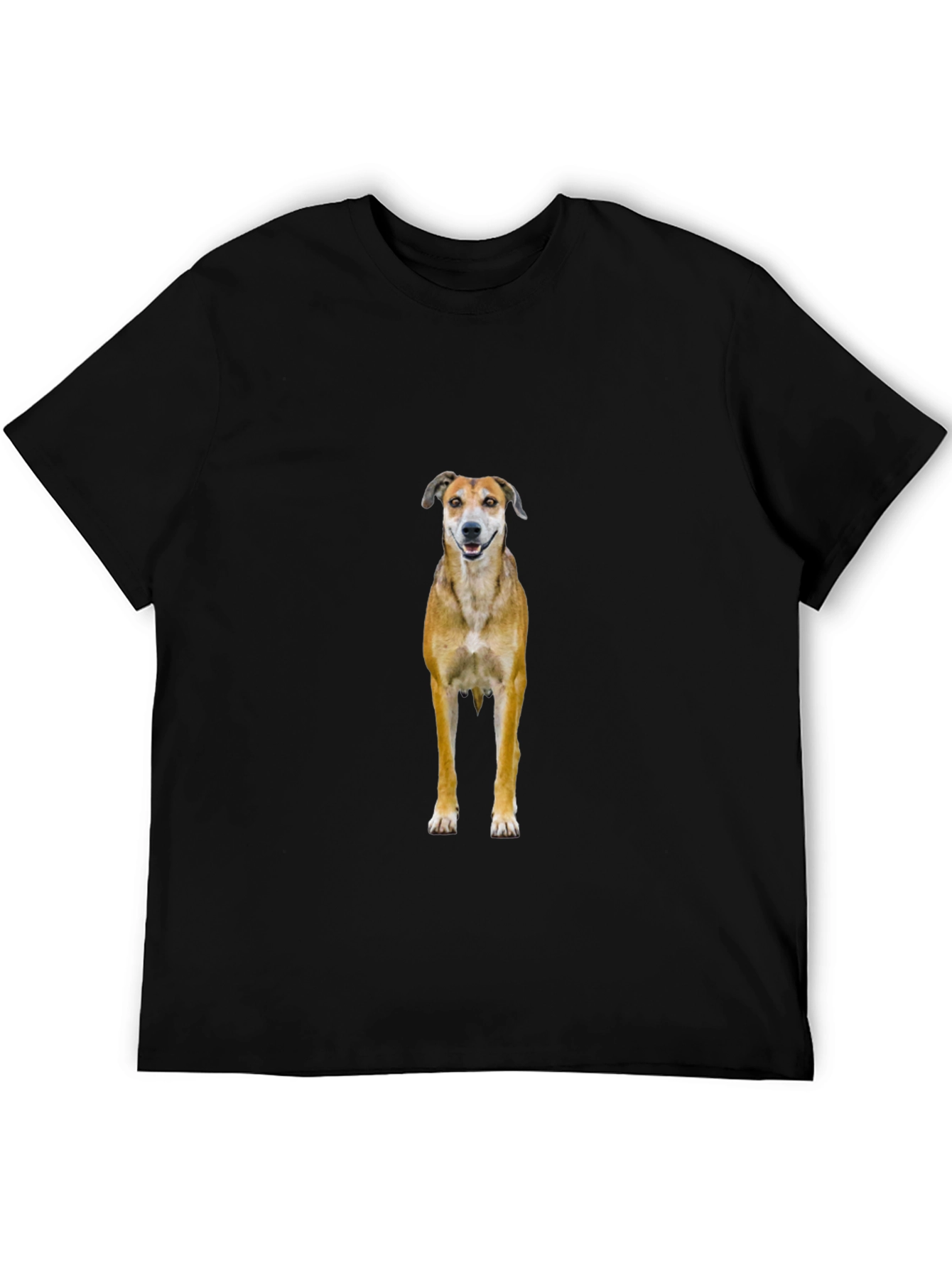 Black Dog Graphic Black T-Shirt view 5