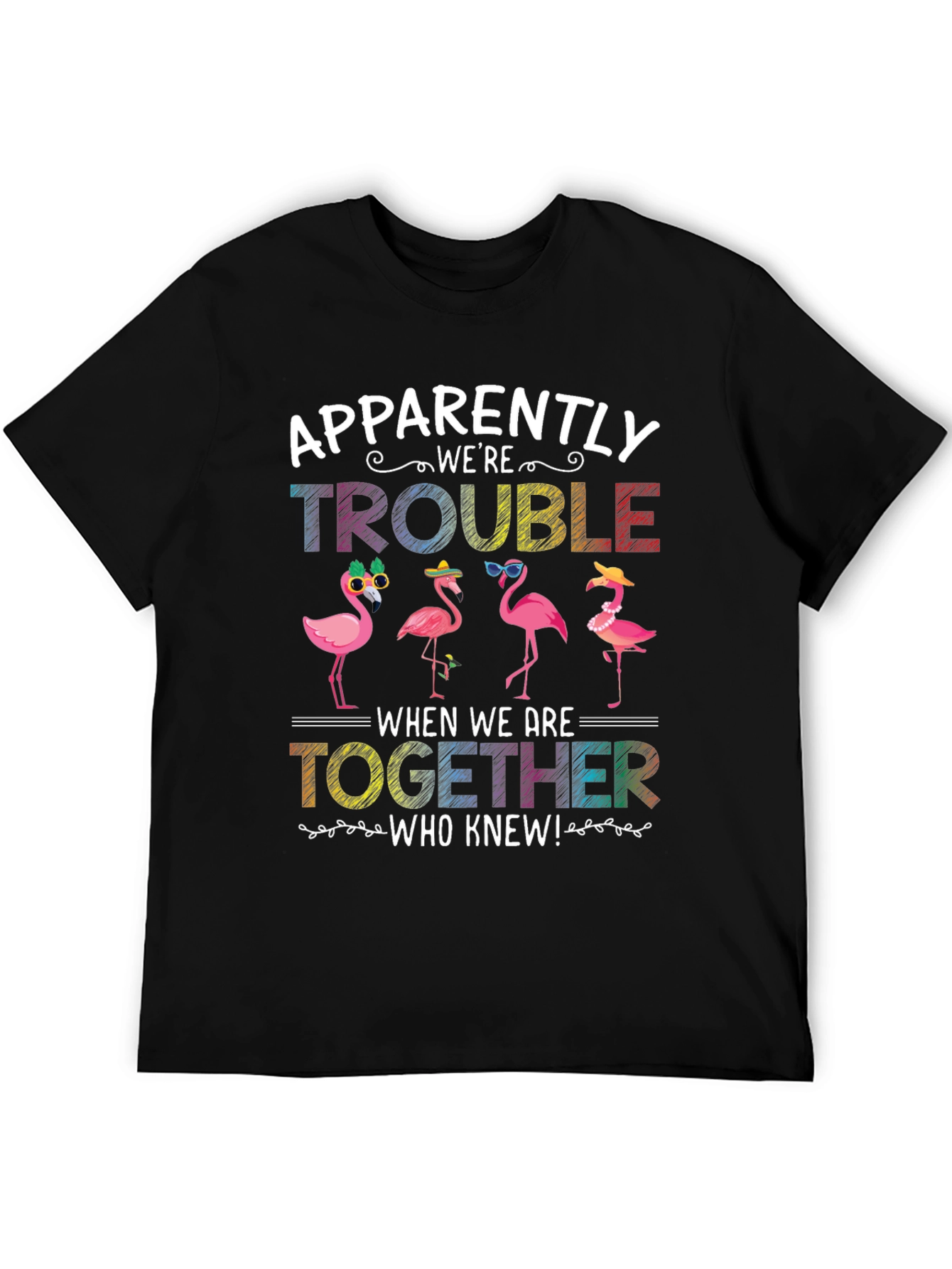 Black Flamingo Trouble Graphic T-Shirt view 5