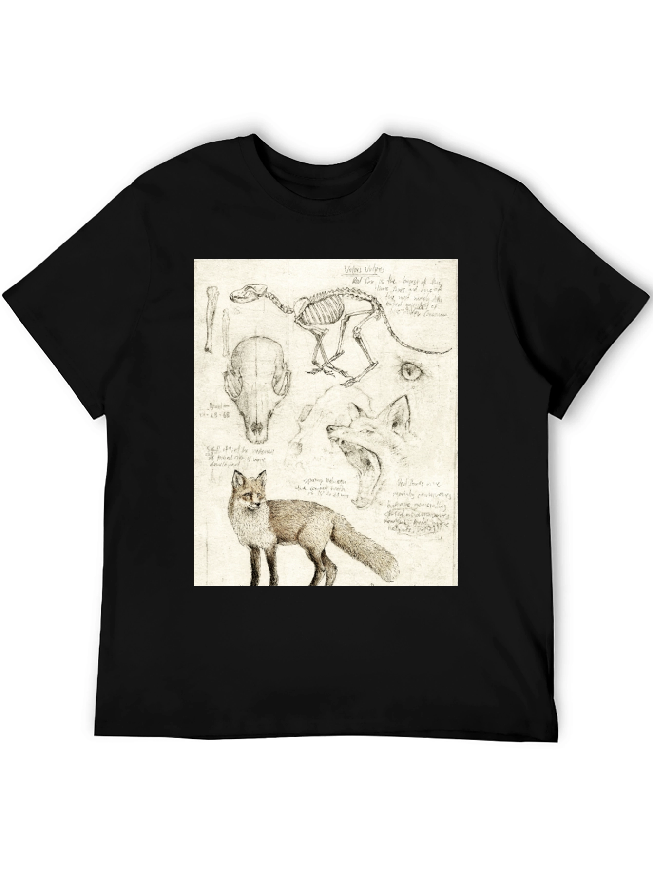Black Anatomical Fox Print Tee - Artistic Unisex T-Shirt view 5