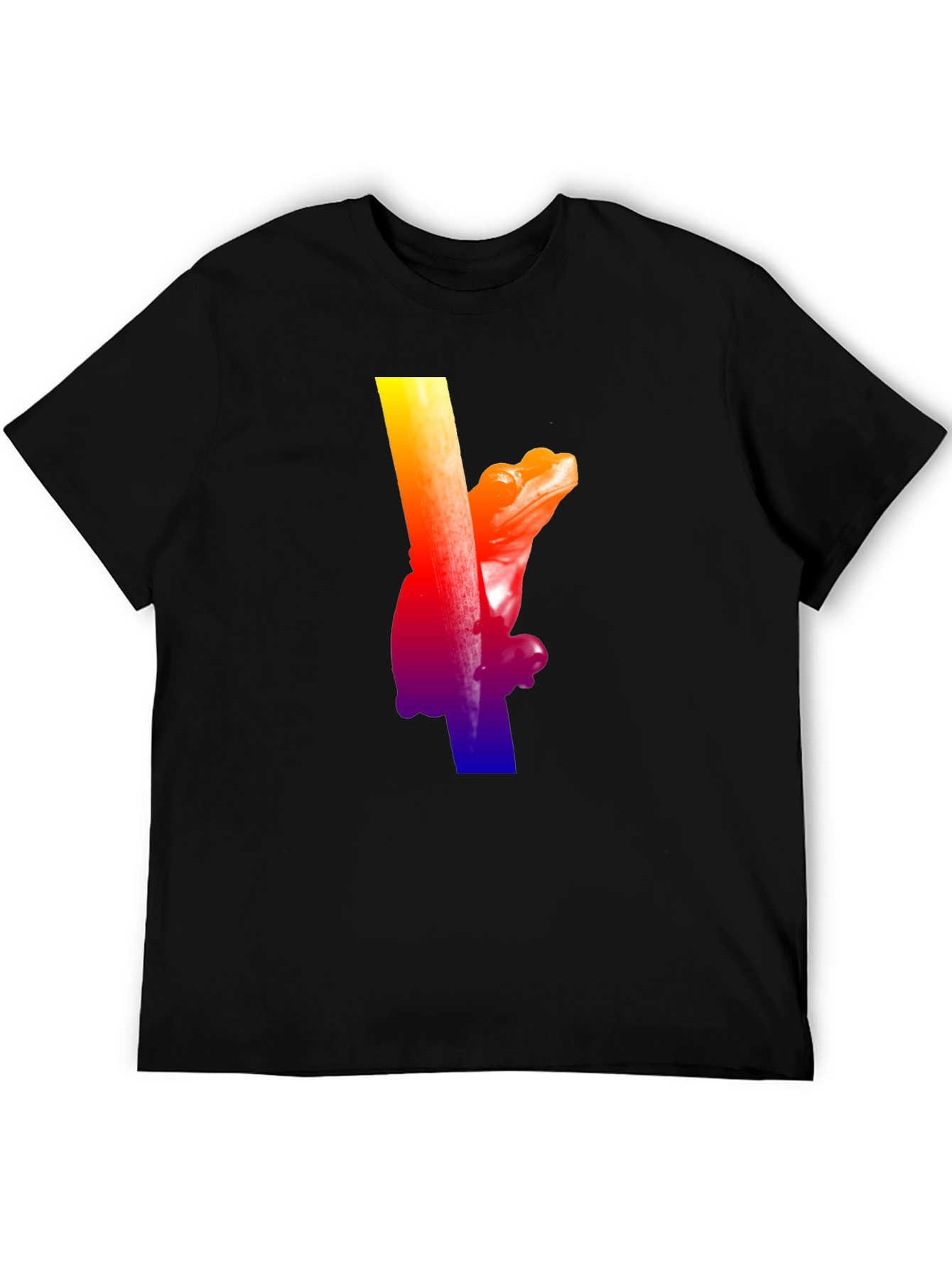 Black Rainbow Frog Climbing T-Shirt - Black view 5