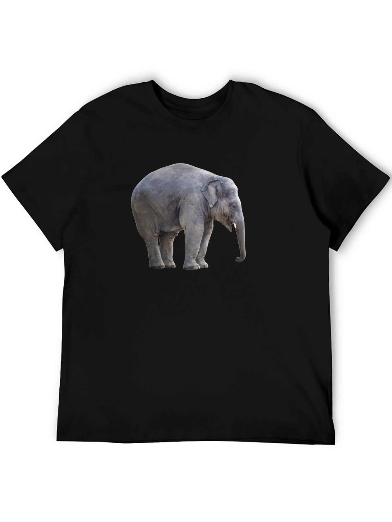 Black Elephant Graphic Tee - Stylish Black Cotton T-Shirt view 5
