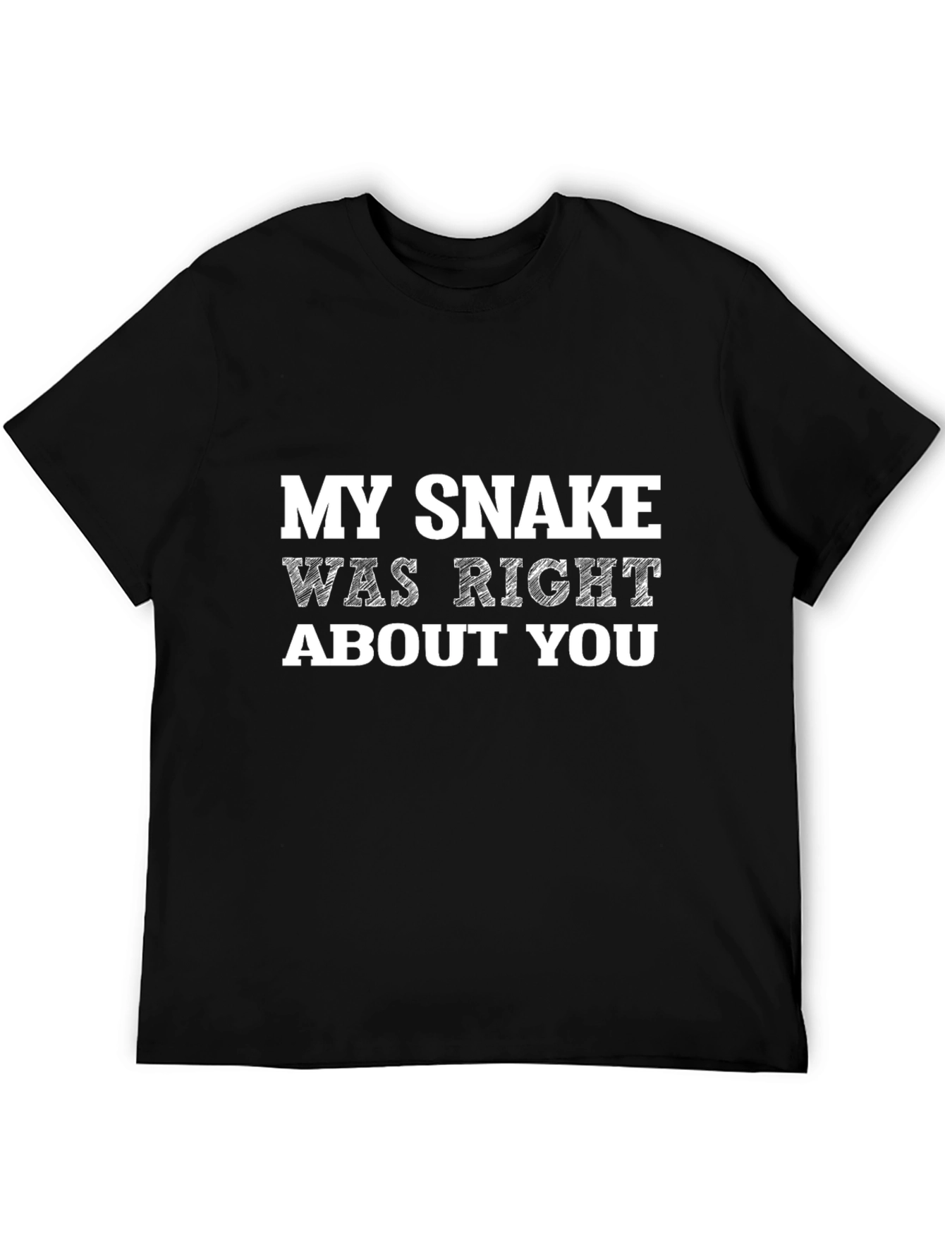 Black My Snake Was Right About You - Graphic Tee view 5