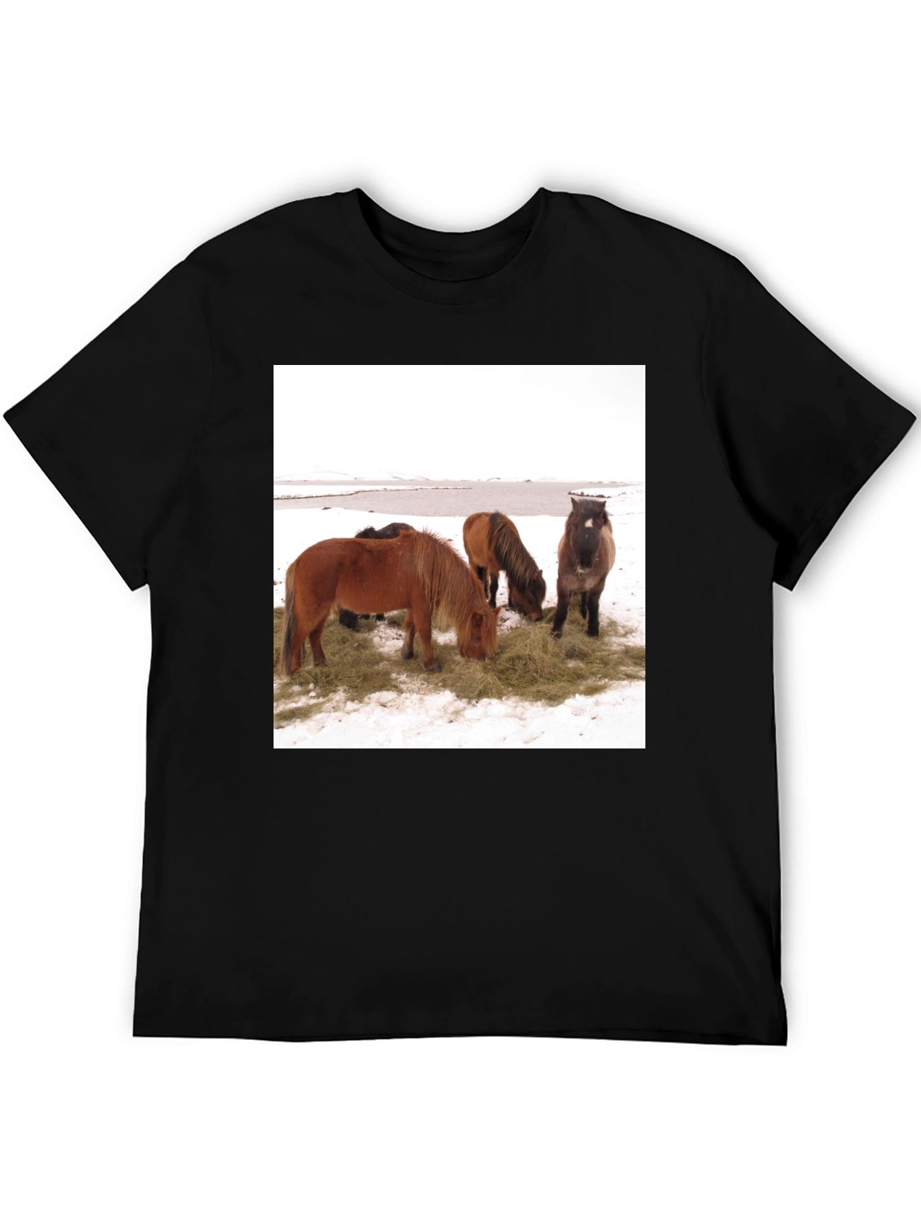Black Horse Scene Graphic Tee - Unisex Black T-Shirt view 5