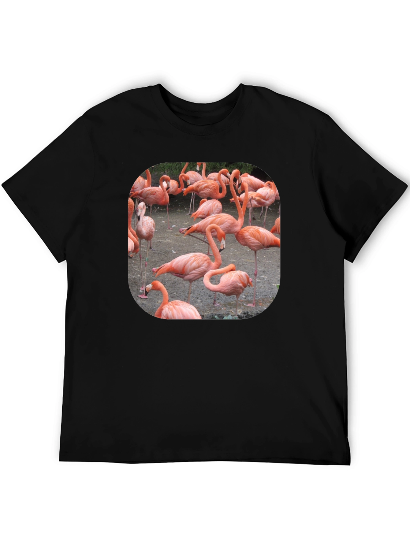 Black Flamingo Graphic Tee - Tropical Bird T-Shirt view 5