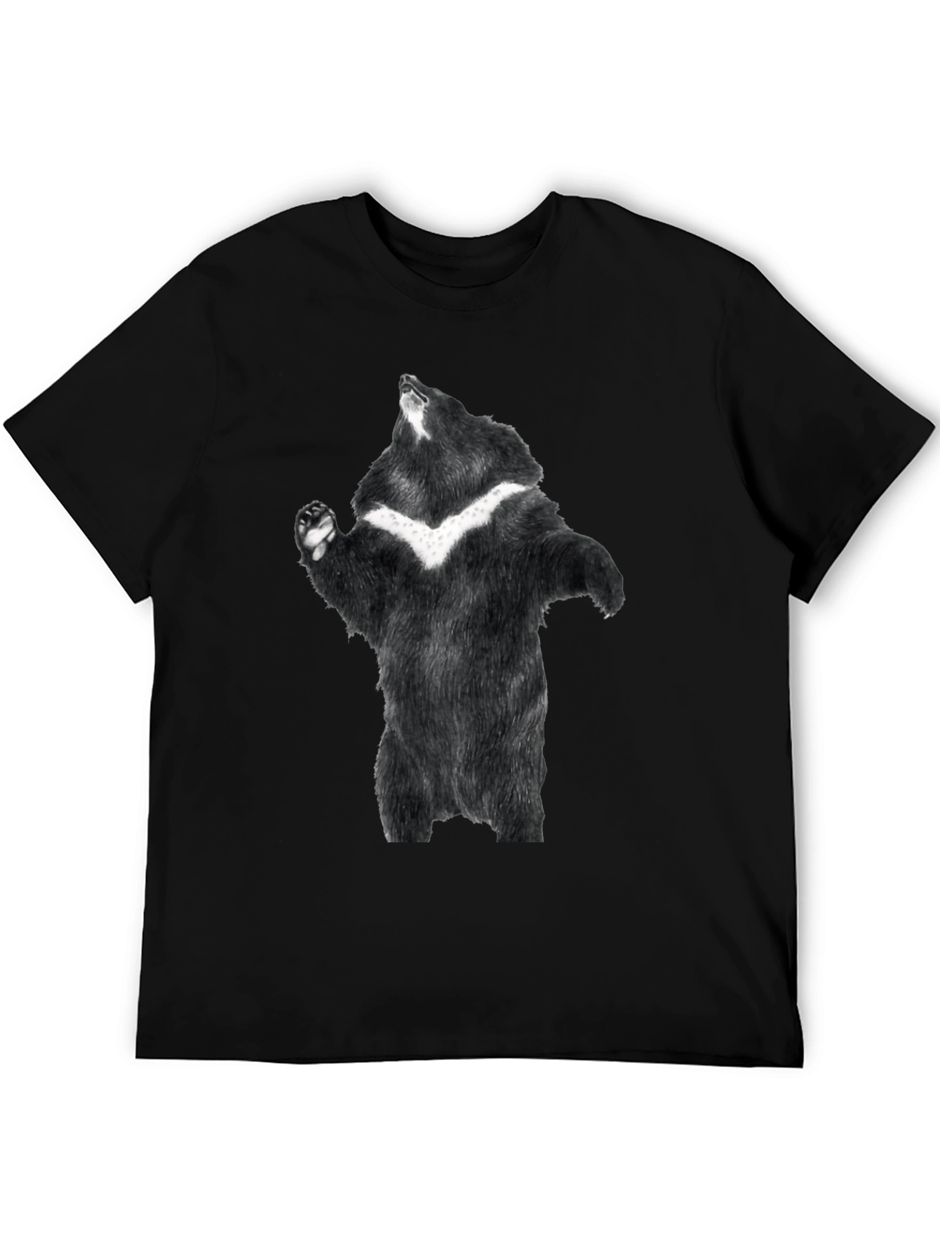 Black Black Bear Graphic Tee - Men's Short Sleeve Shirt view 5