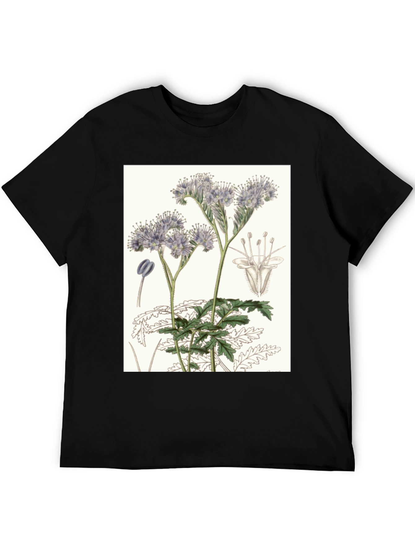 Black Botanical Flower T-Shirt view 5