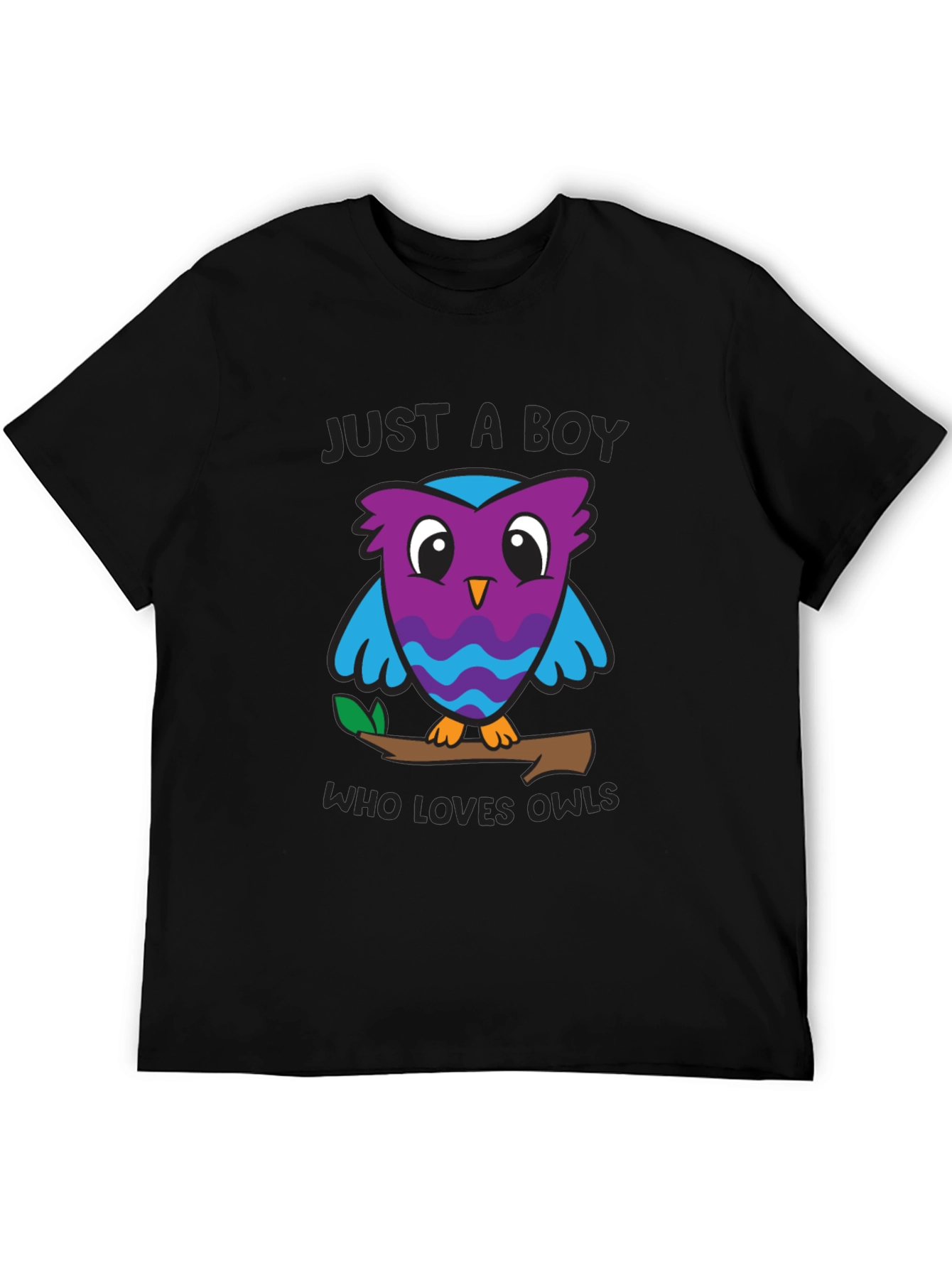 Black Just A Boy Who Loves Owls Graphic T-Shirt view 5
