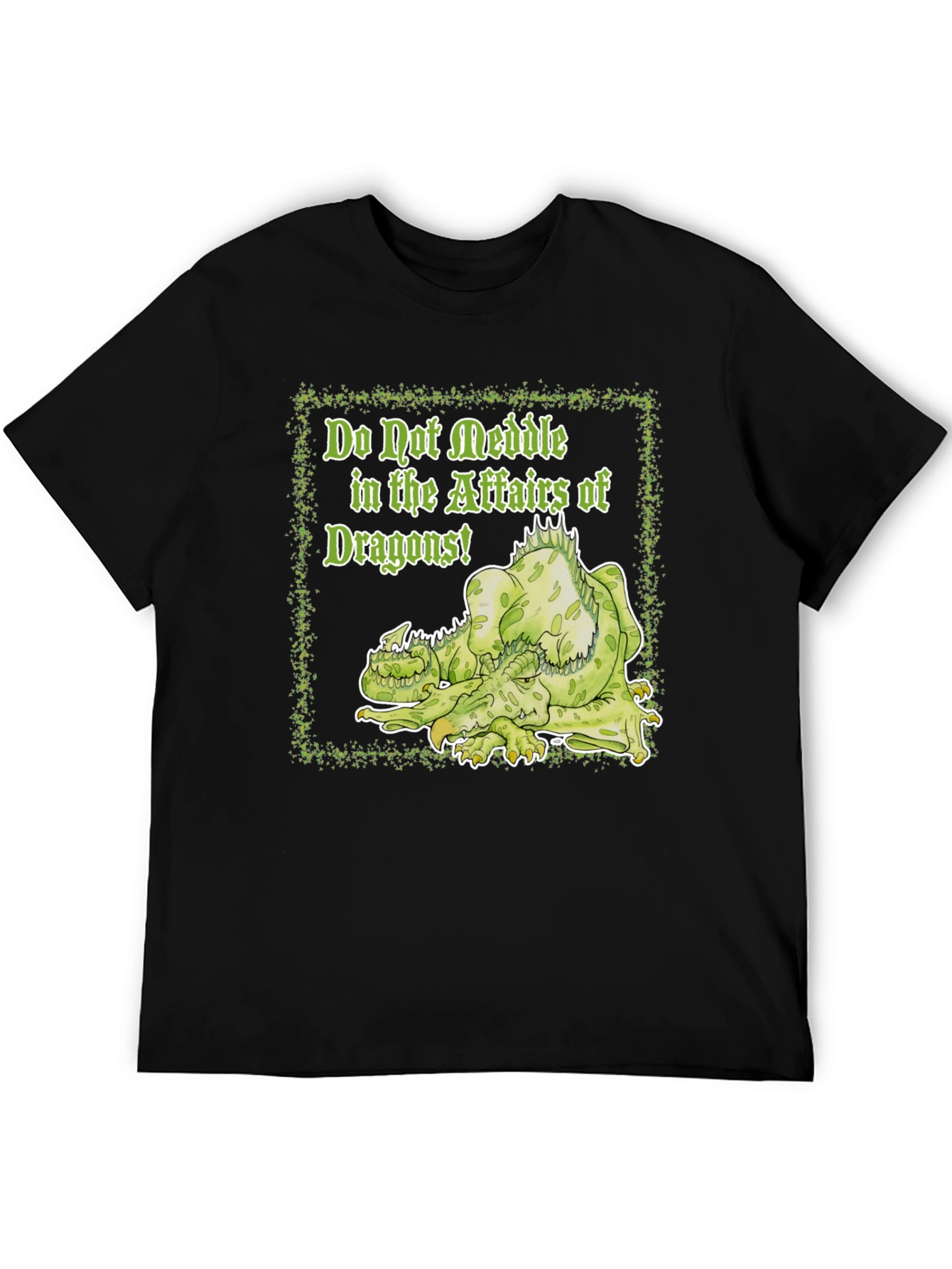Do Not Meddle Dragons T-Shirt - 5