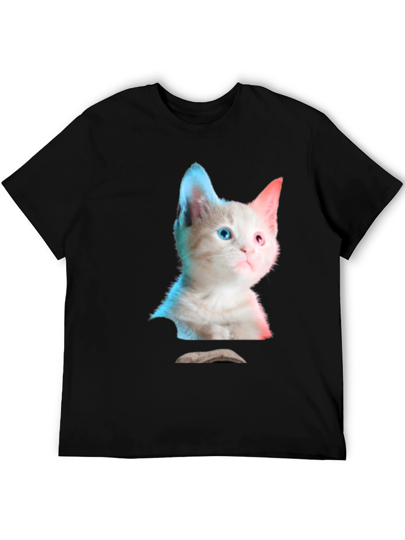 Black Kitten Graphic Tee - Cute Cat Shirt view 5