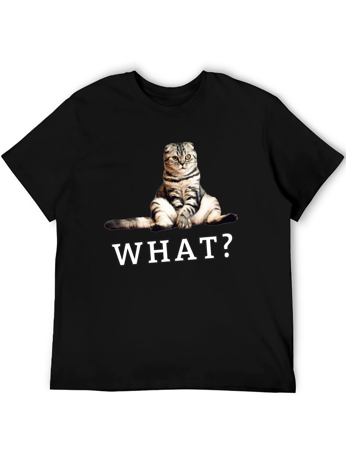 Black Funny Cat "What?" Graphic T-Shirt view 5