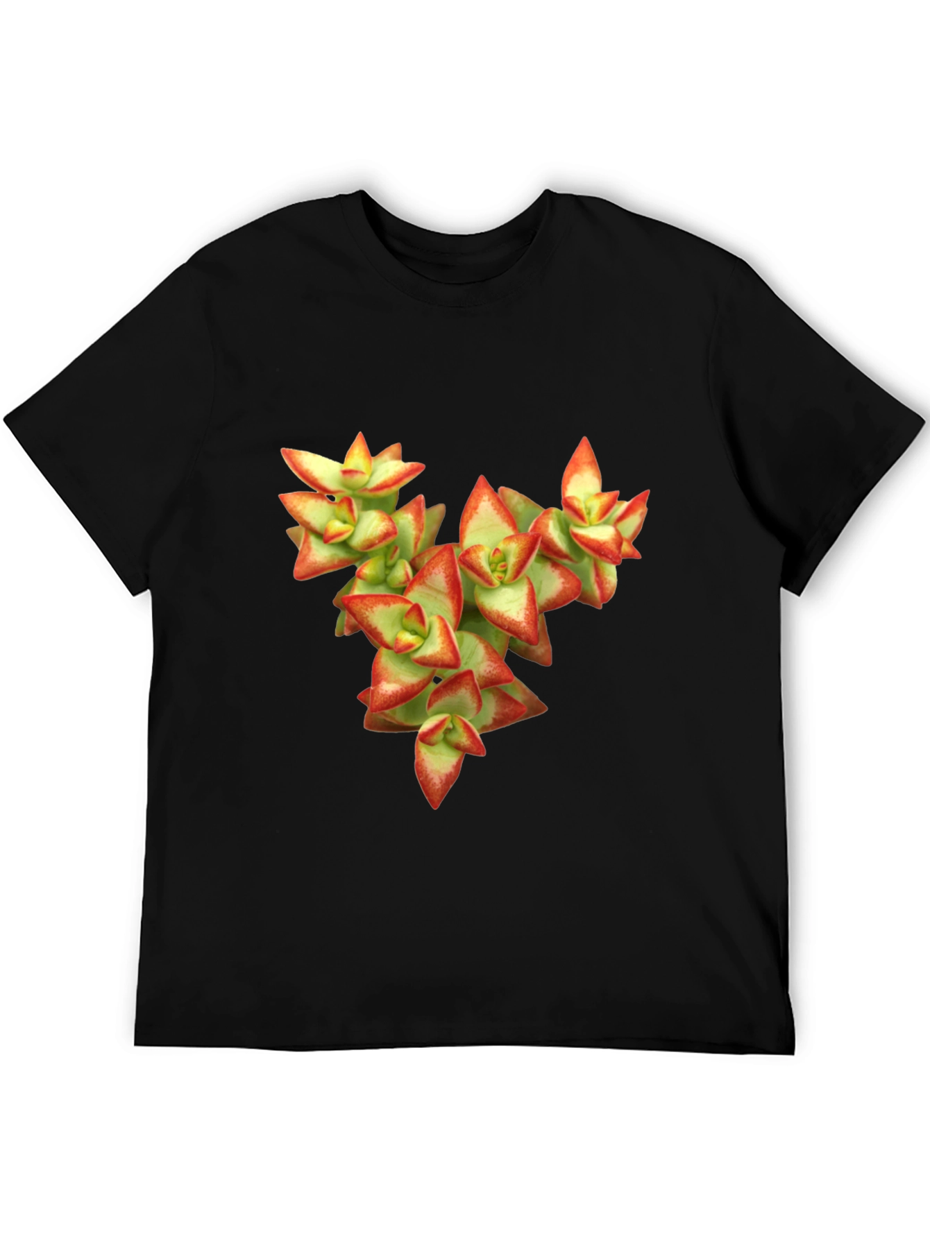 Black Succulent Graphic T-Shirt - Nature Inspired Tee view 5