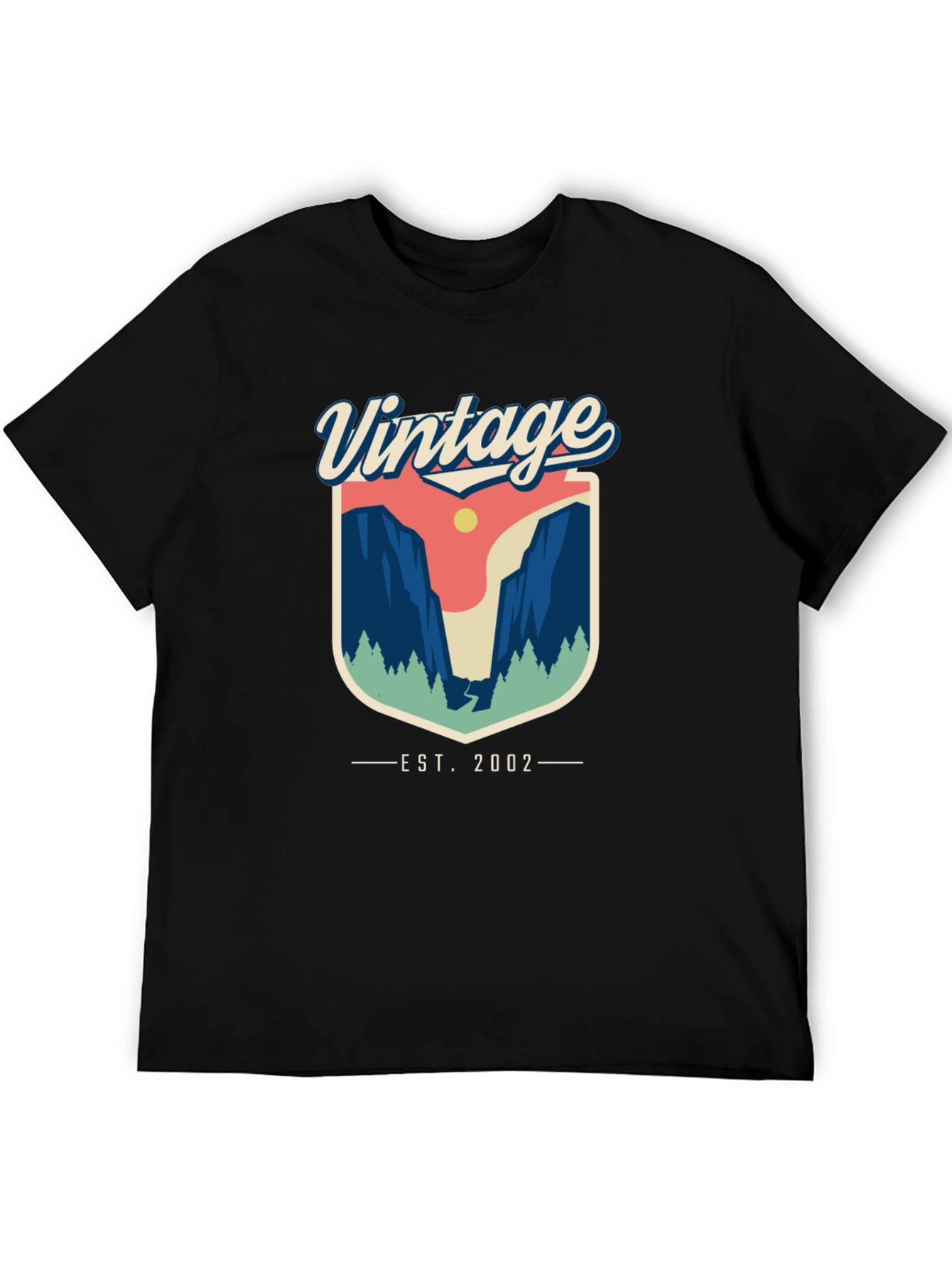 Black Vintage 2002 Graphic T-Shirt view 5