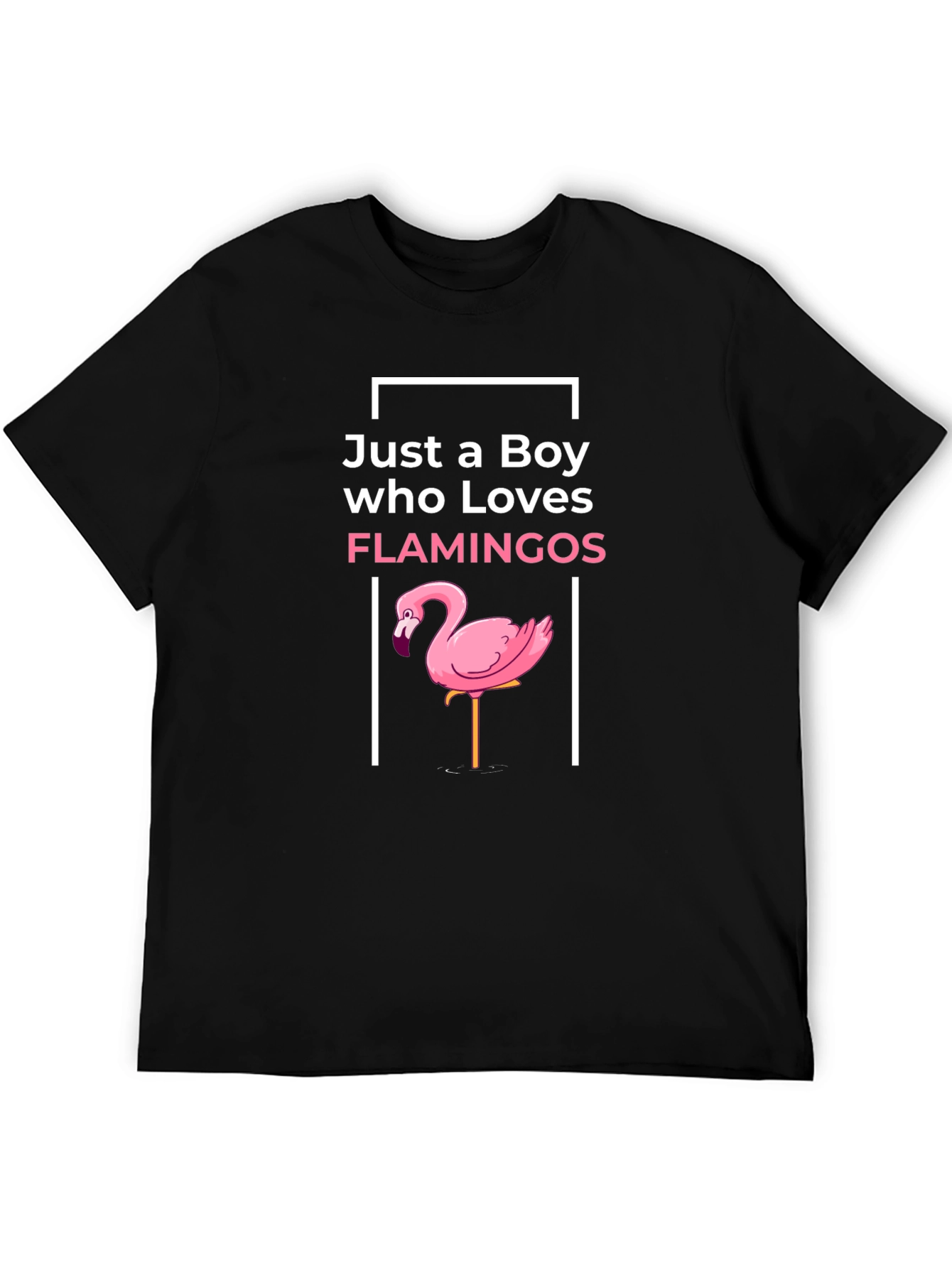 Black Boy Who Loves Flamingos Graphic Tee view 5