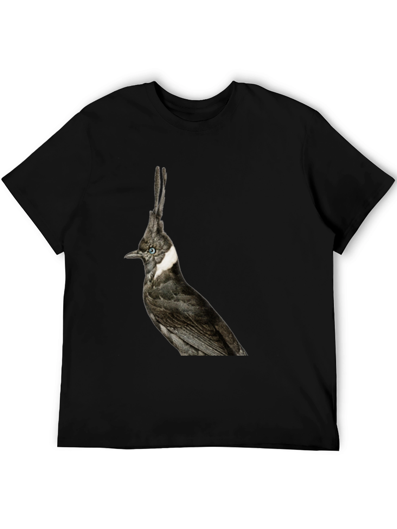 Black Crested Bird Graphic T-Shirt - Unique Style view 5