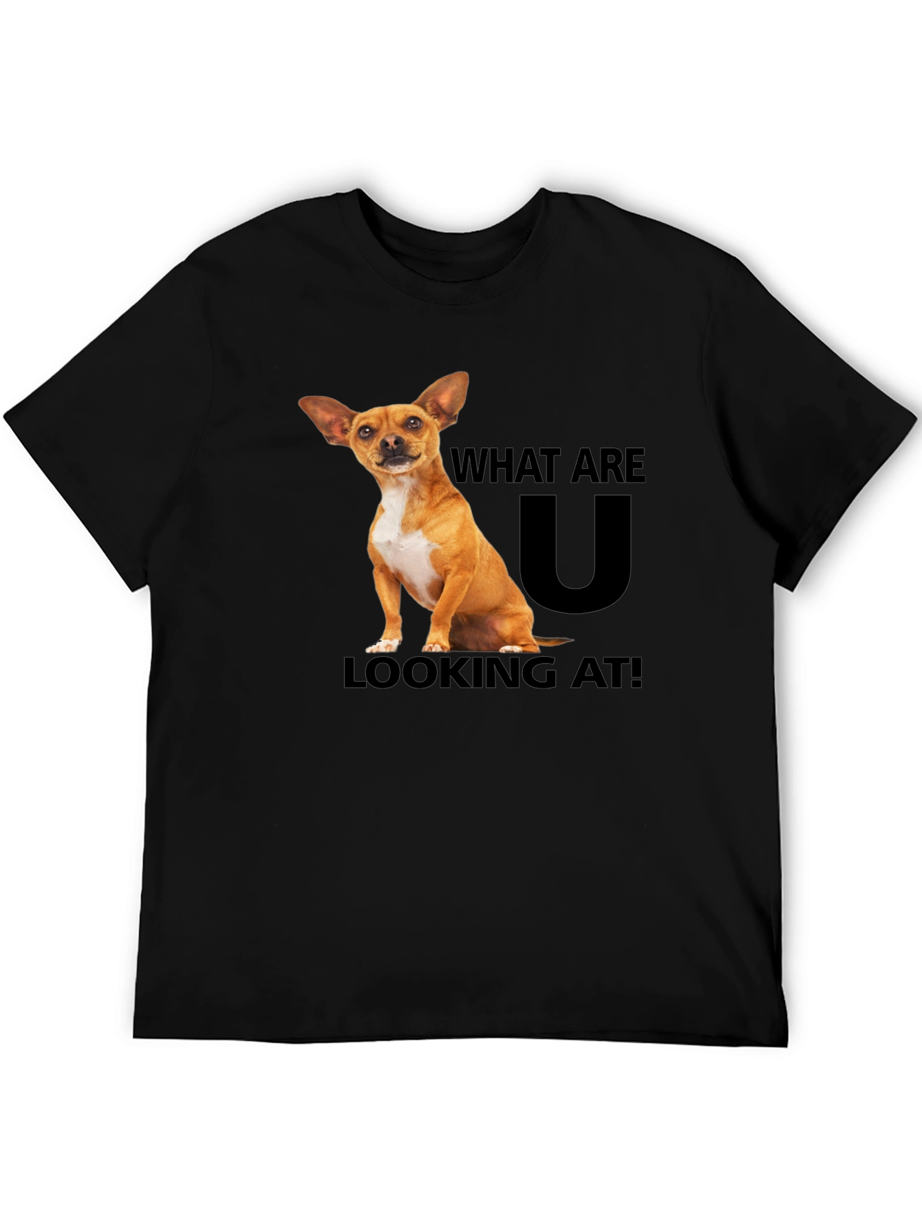 Black Dog T-Shirt: What Are You Looking At? view 5
