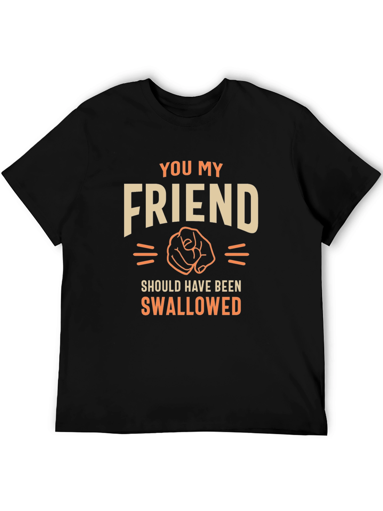 Black Funny Sarcastic You My Friend T-Shirt view 5
