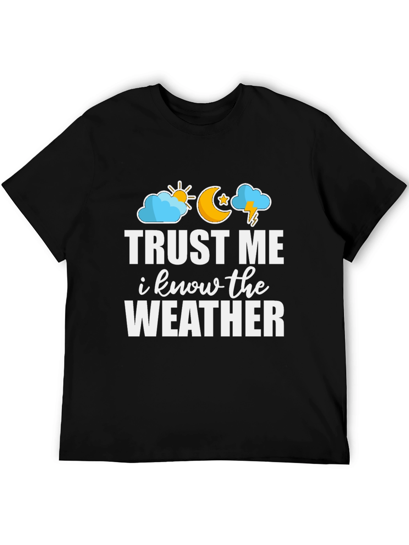 Black Trust Me I Know The Weather Graphic Tee view 5