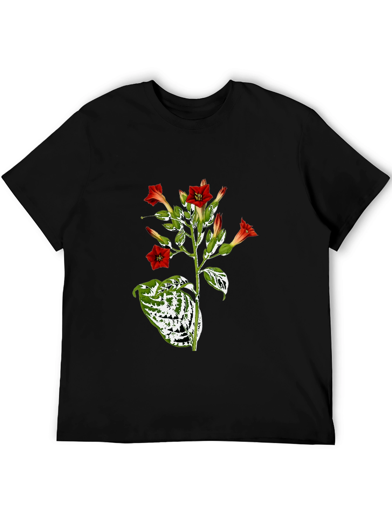 Black Botanical Floral Graphic Tee - Black Cotton T-Shirt view 5