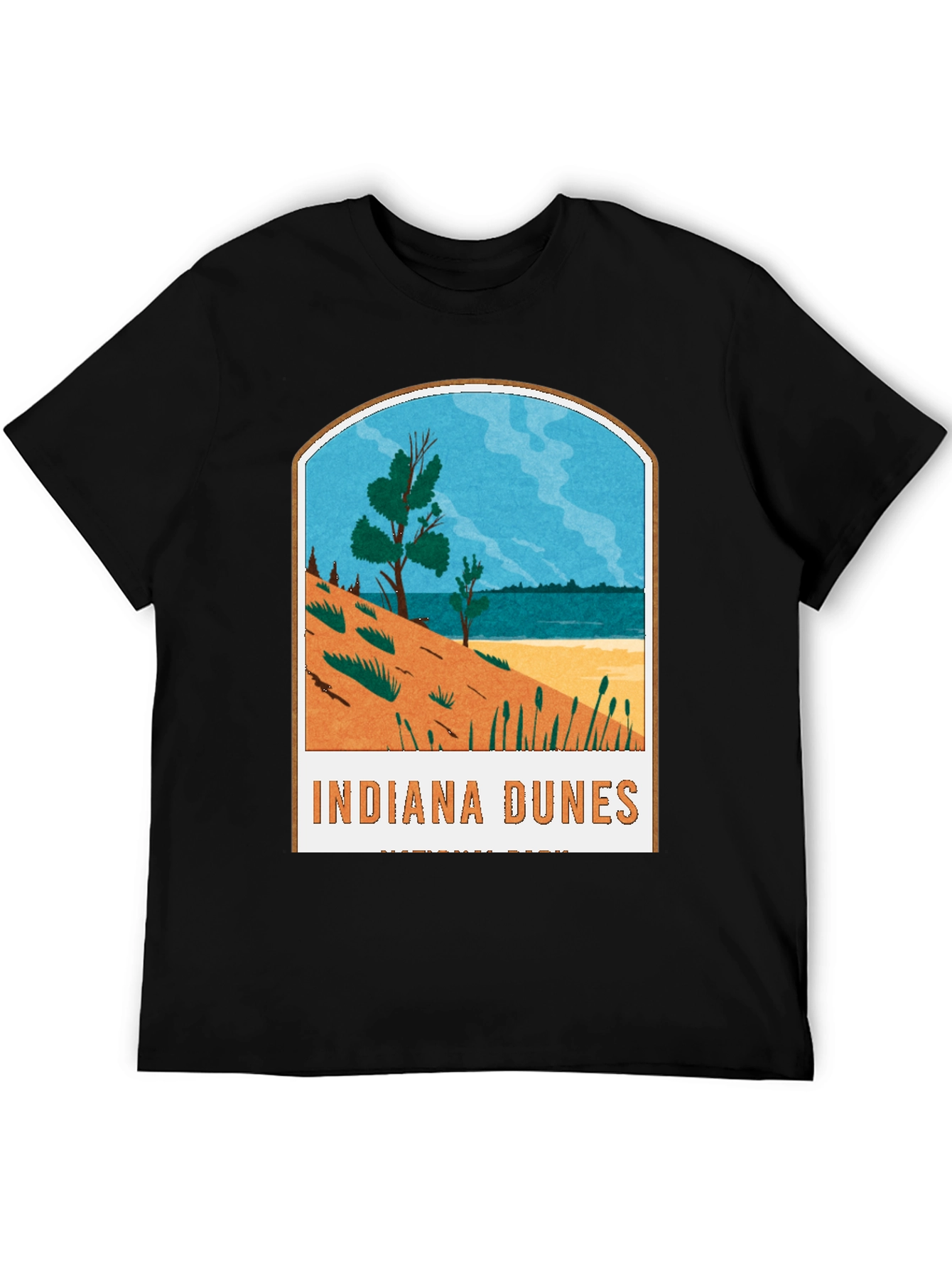 Black Indiana Dunes National Park Graphic Tee view 5