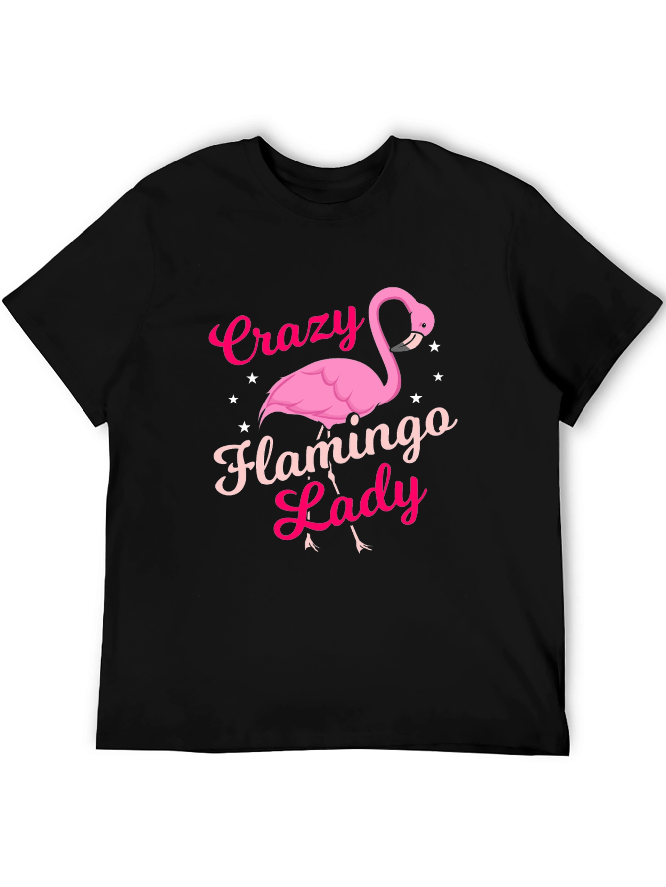 Black Crazy Flamingo Lady T-Shirt - Novelty Graphic Tee view 5