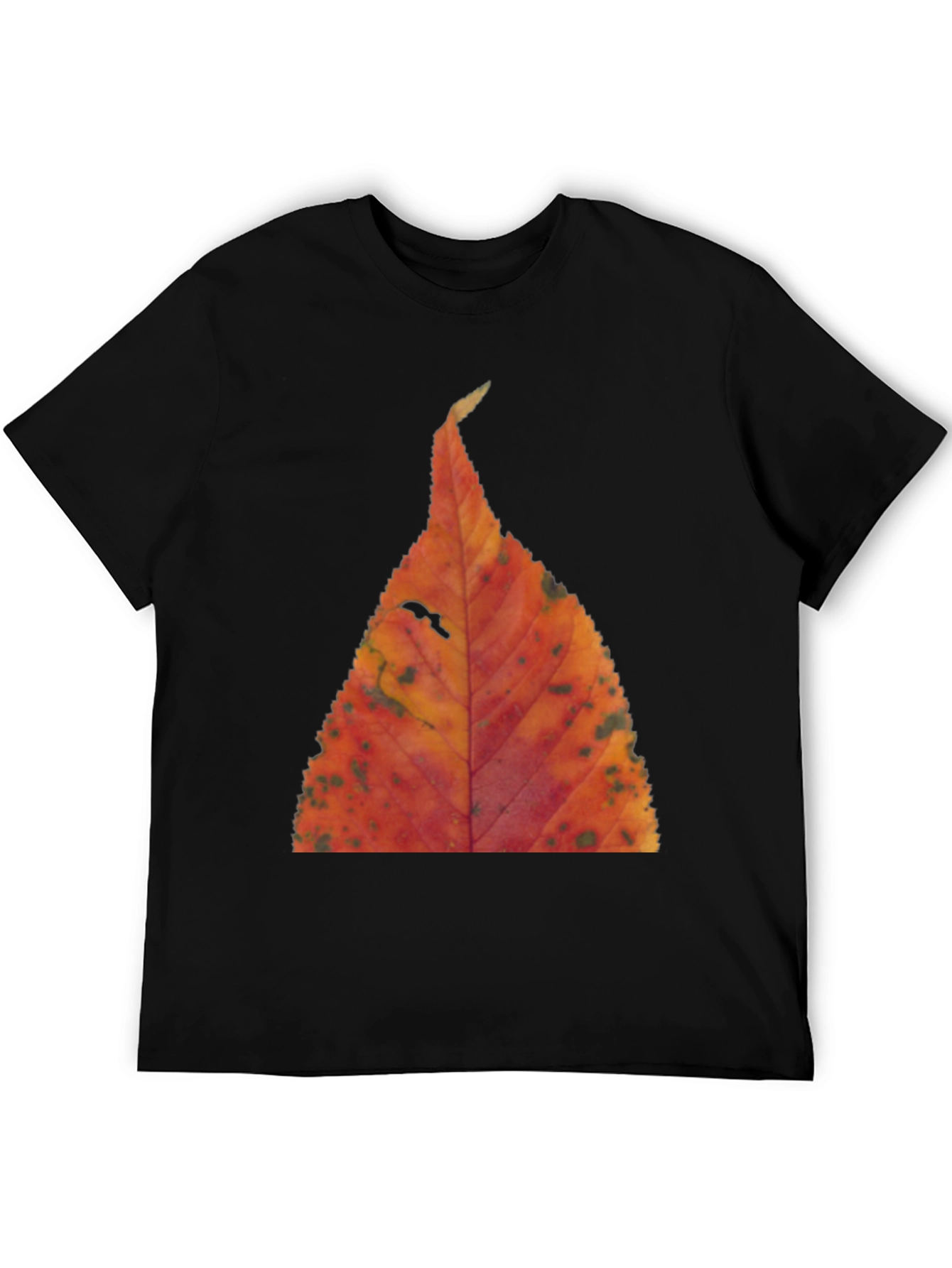 Black Fall Leaf Print Black T-Shirt view 5
