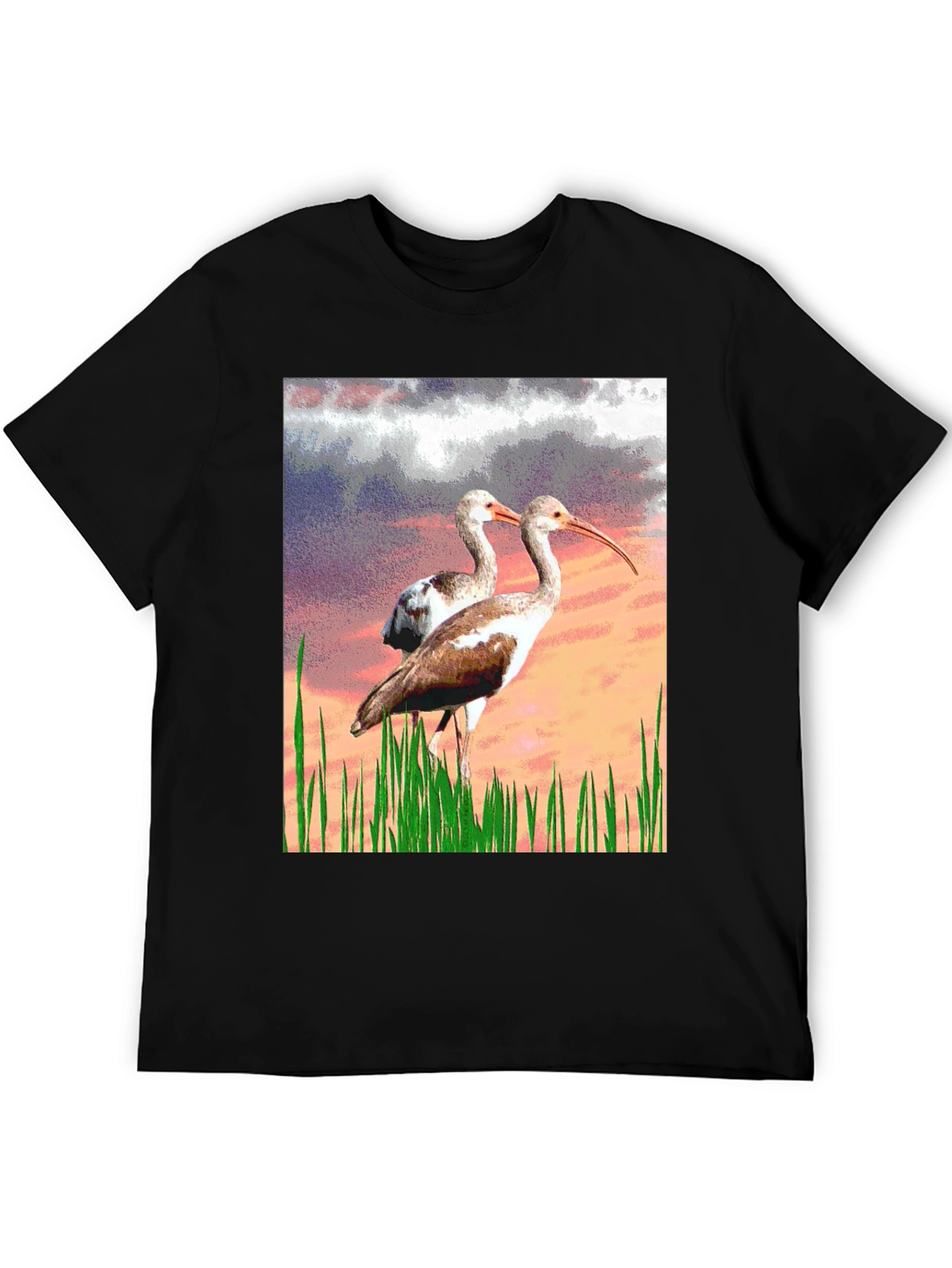 Black Ibis Bird Graphic Print Black T-Shirt view 5