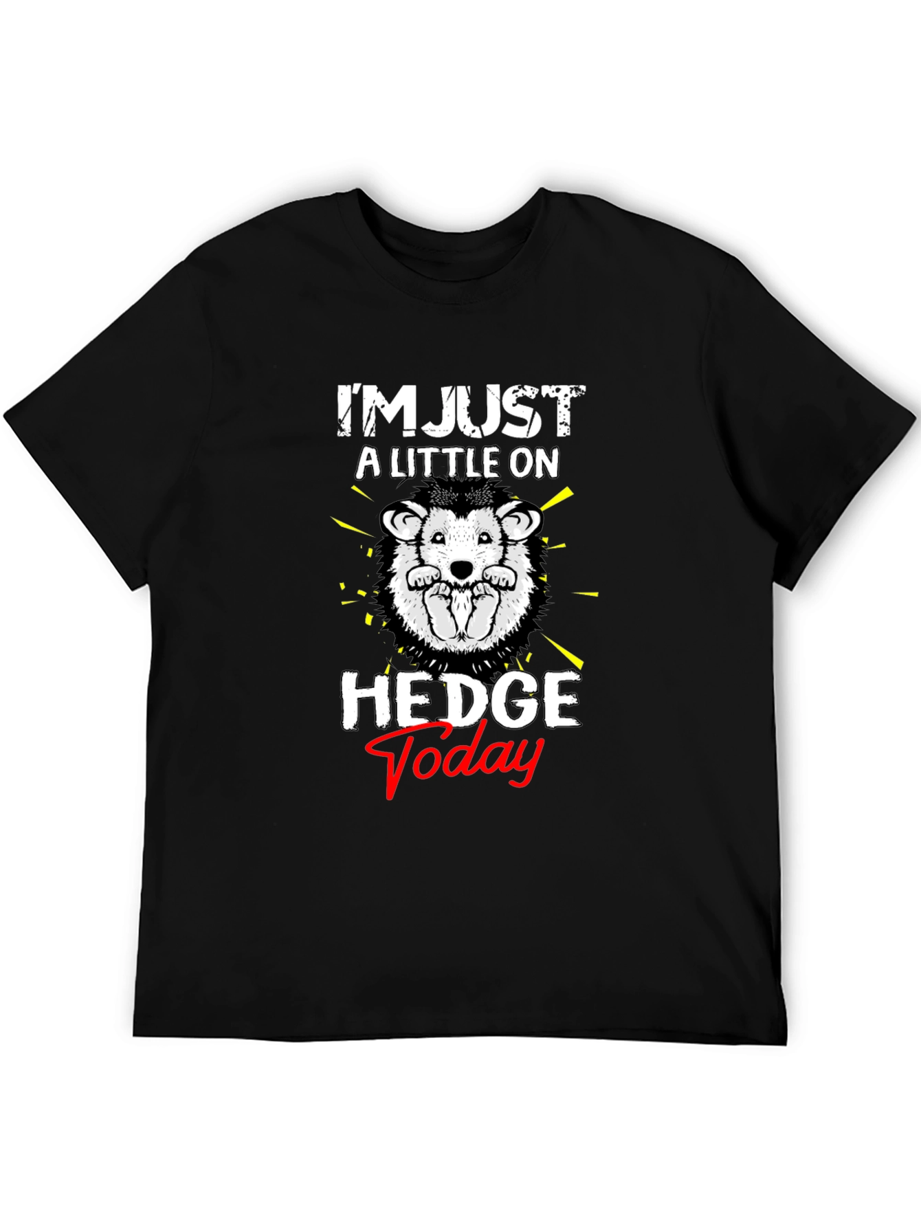 Black Hedgehog 'Hedge Today' Graphic T-Shirt view 5