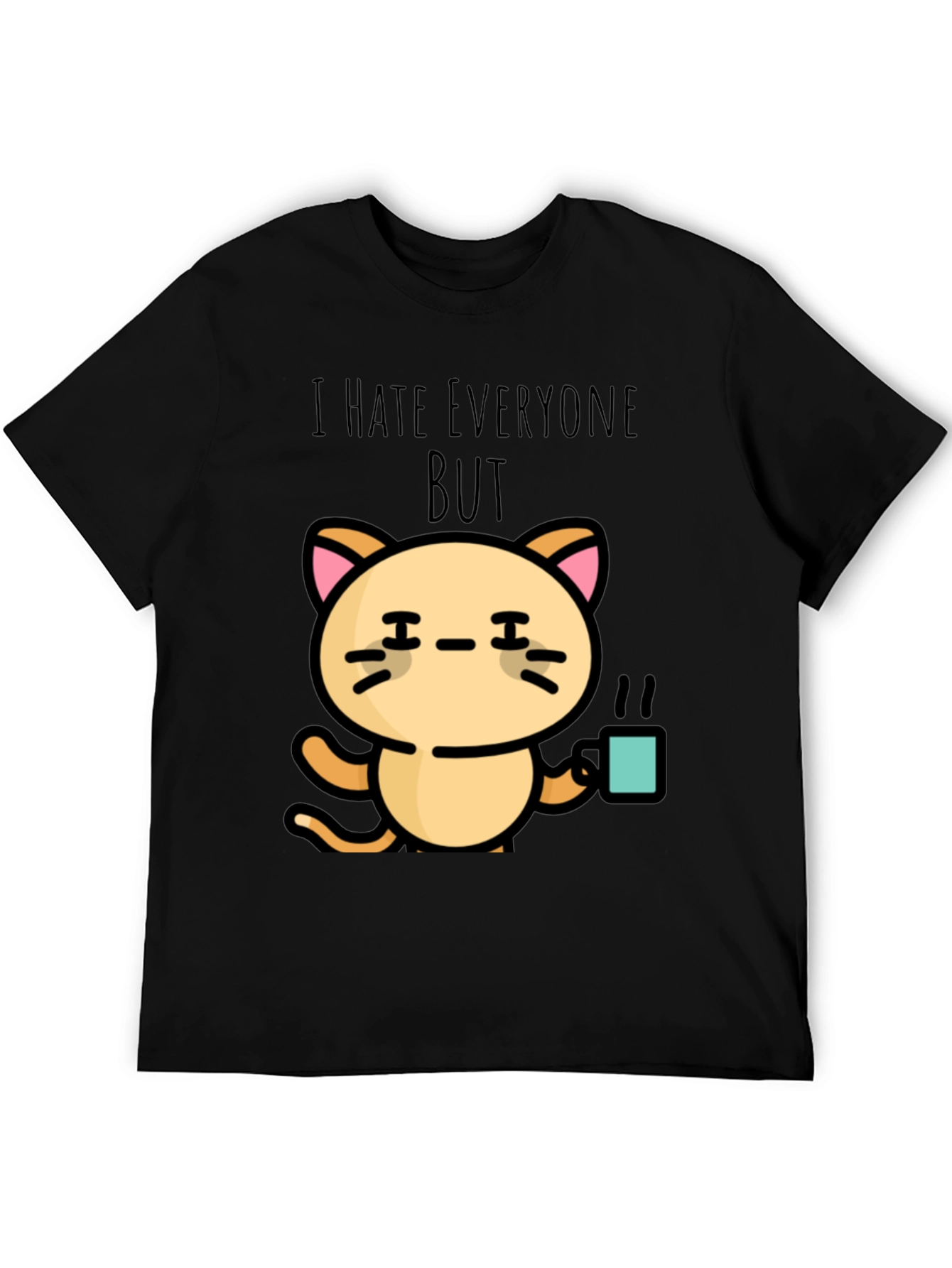 Black I Hate Everyone But Cat T-Shirt view 5