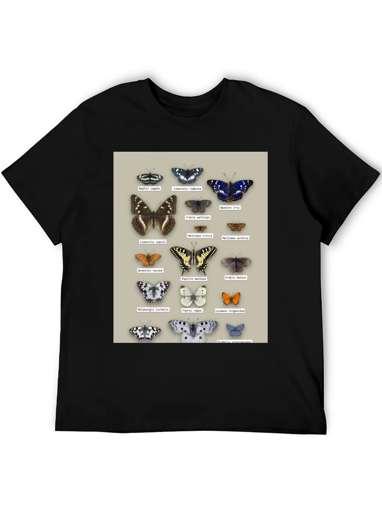 Black Butterfly Print T-Shirt | Nature Lover Apparel view 5