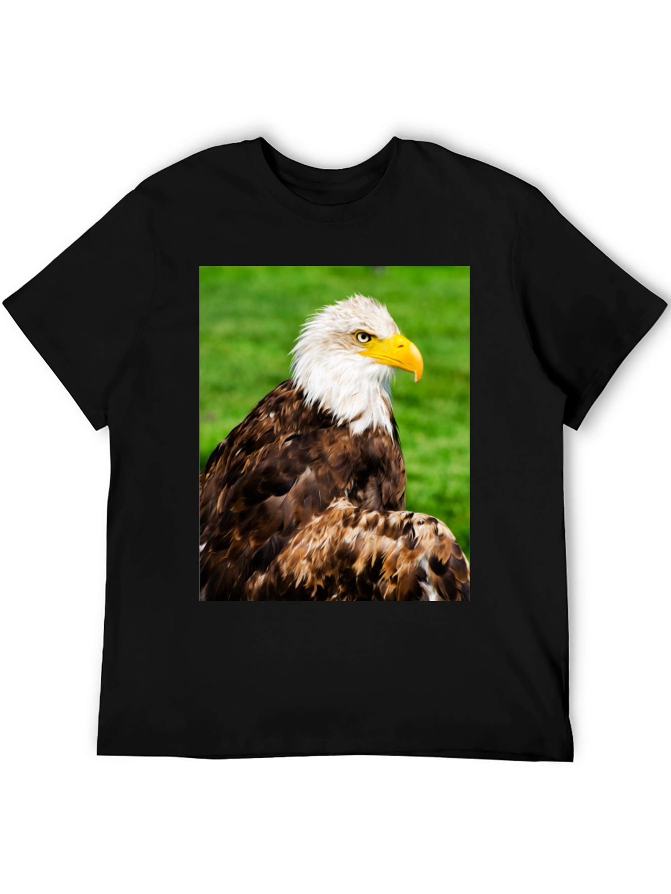 Black Bald Eagle Graphic T-Shirt view 5