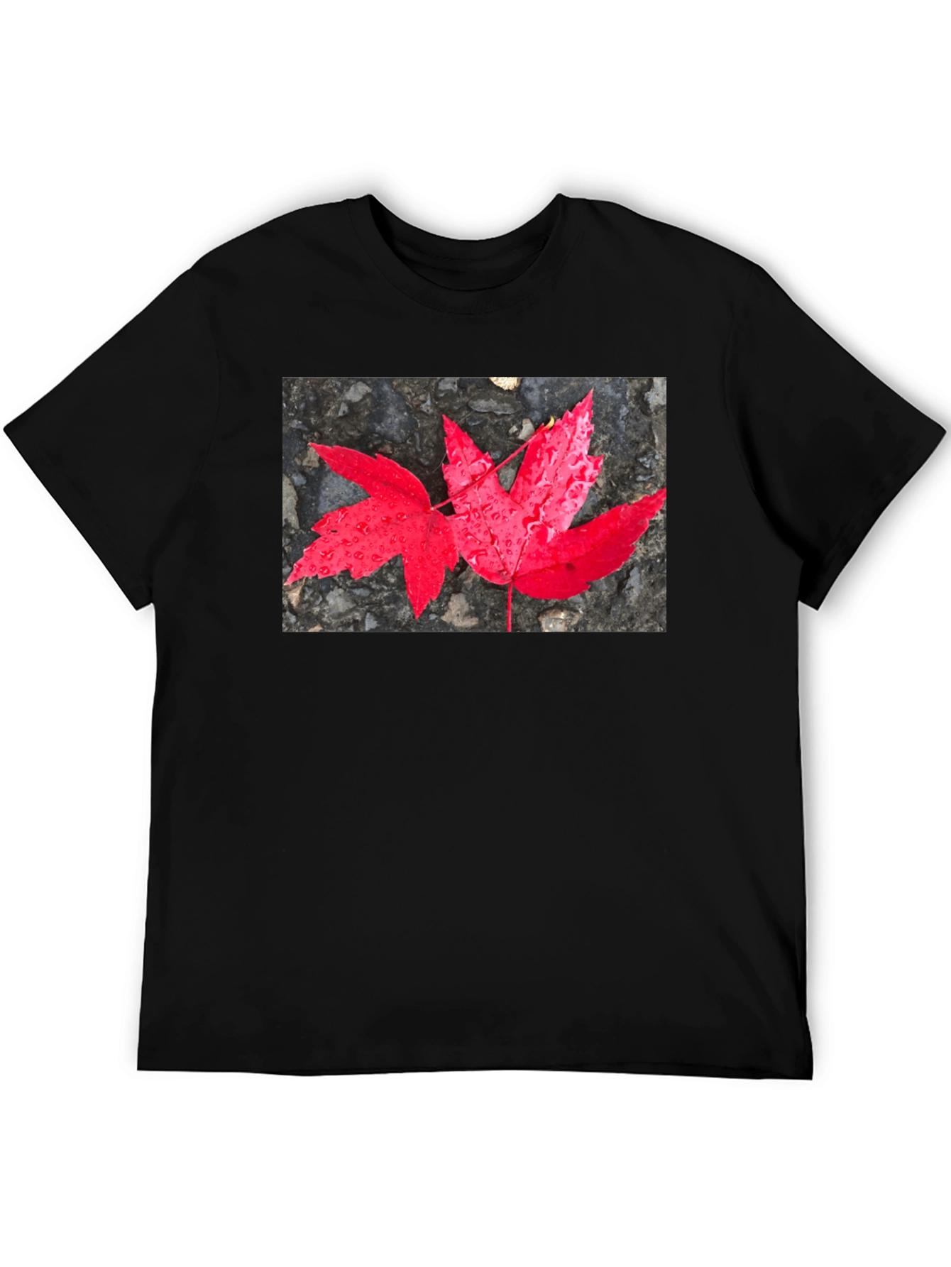 Black Red Maple Leaf Graphic T-Shirt view 5