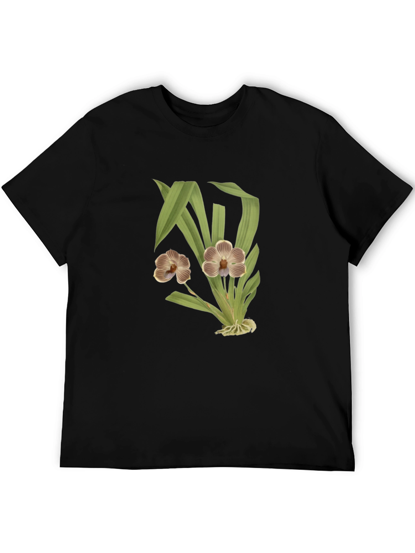 Black Floral Print T-Shirt - Botanical Style view 5